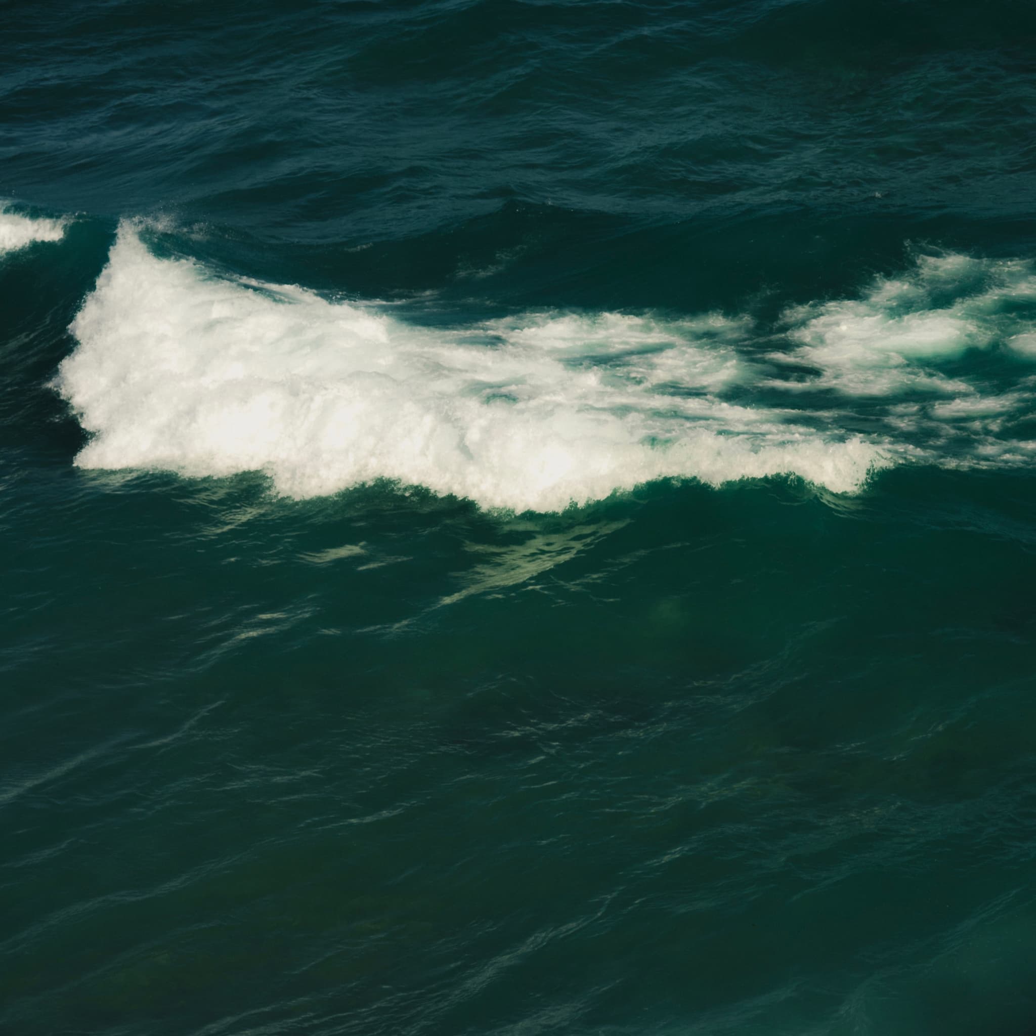 Wave
