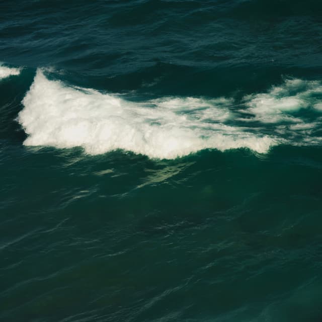 Wave