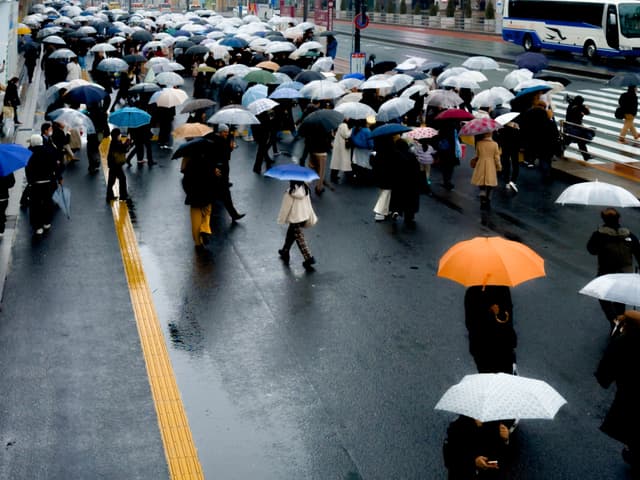 Rain
