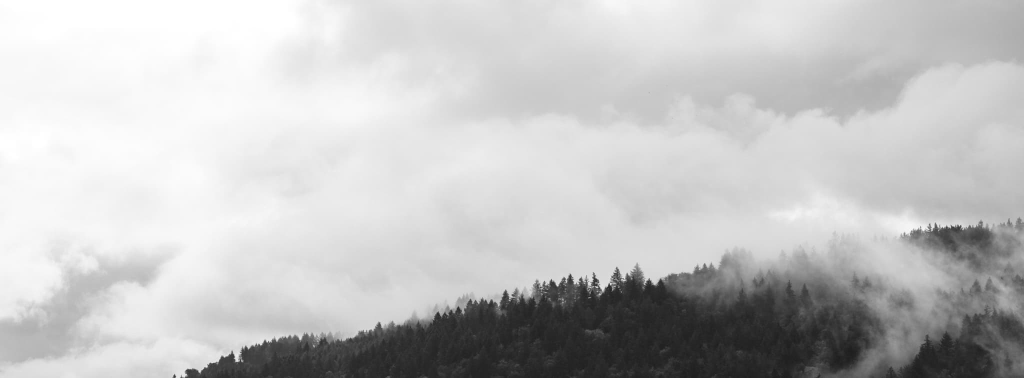 Wonderland