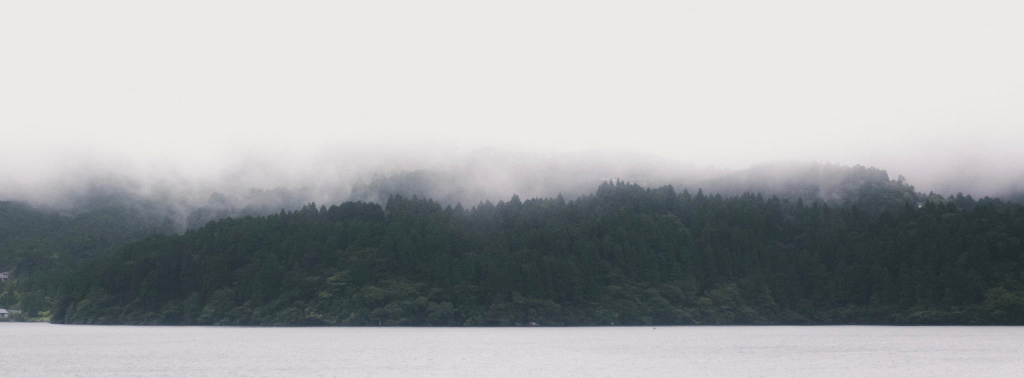 Misty