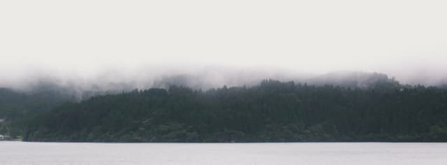 Misty