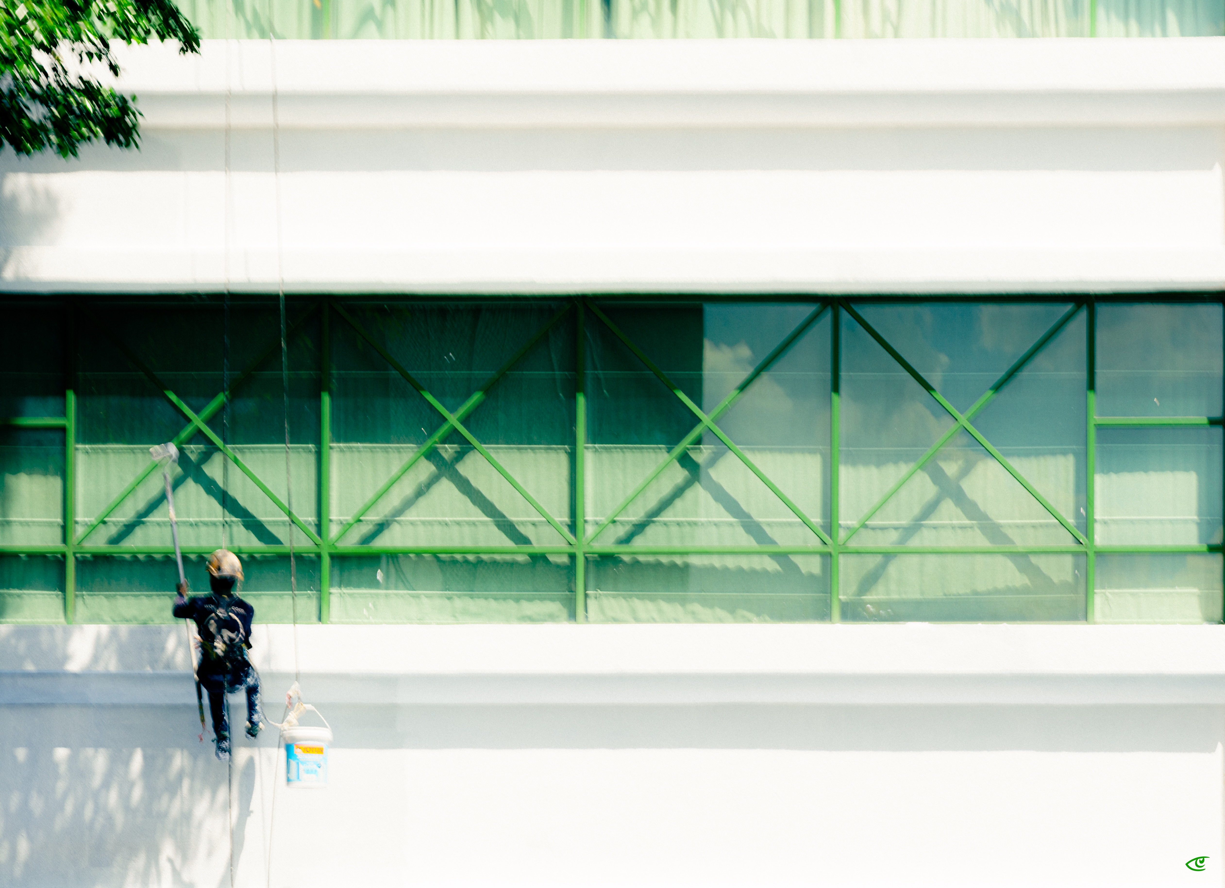 Person suspended by ropes cleaning large green-framed windows on a white building facade, with a bucket hanging beside them and tree shadows on the wall.