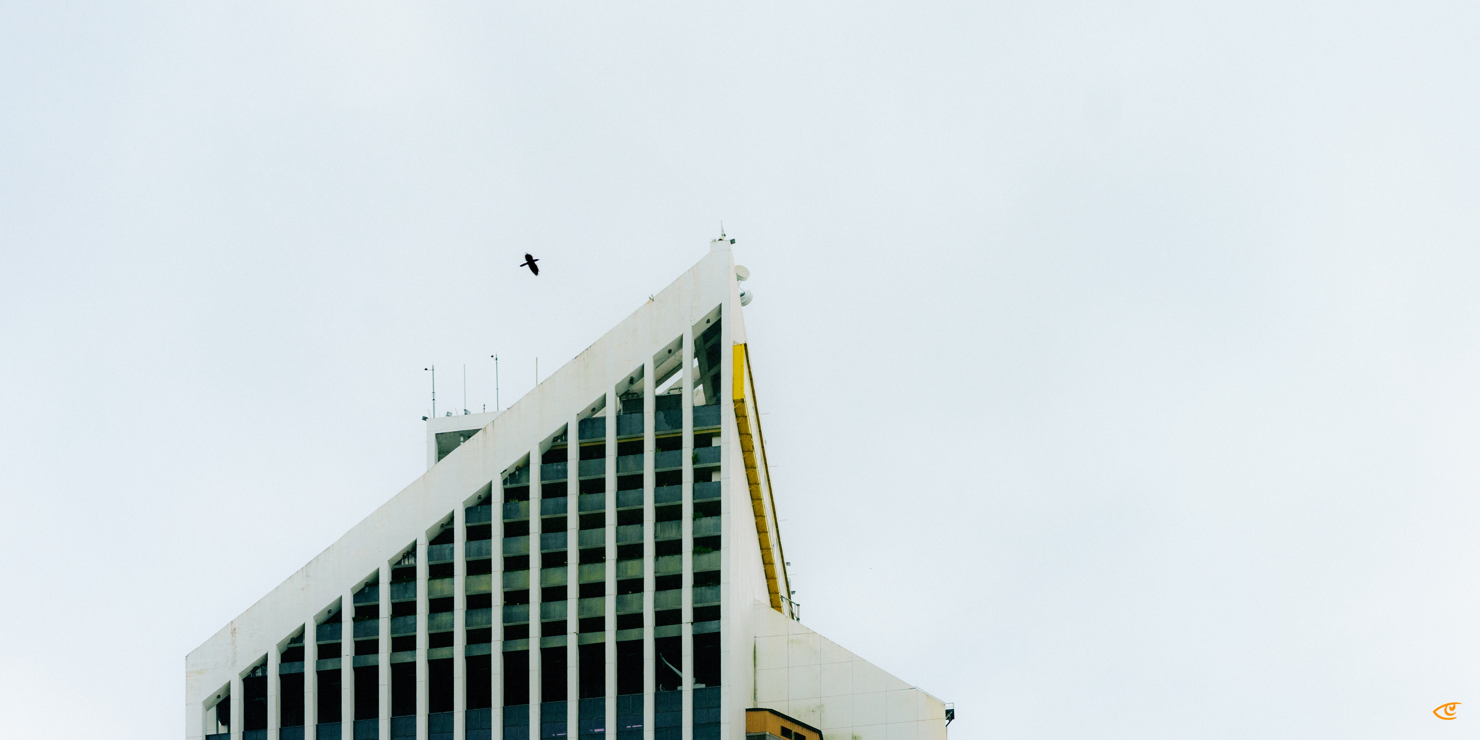 Upper portion of a modern white building with a triangular slanted roofline and vertical window columns against a pale sky, with a single bird flying above the roof.