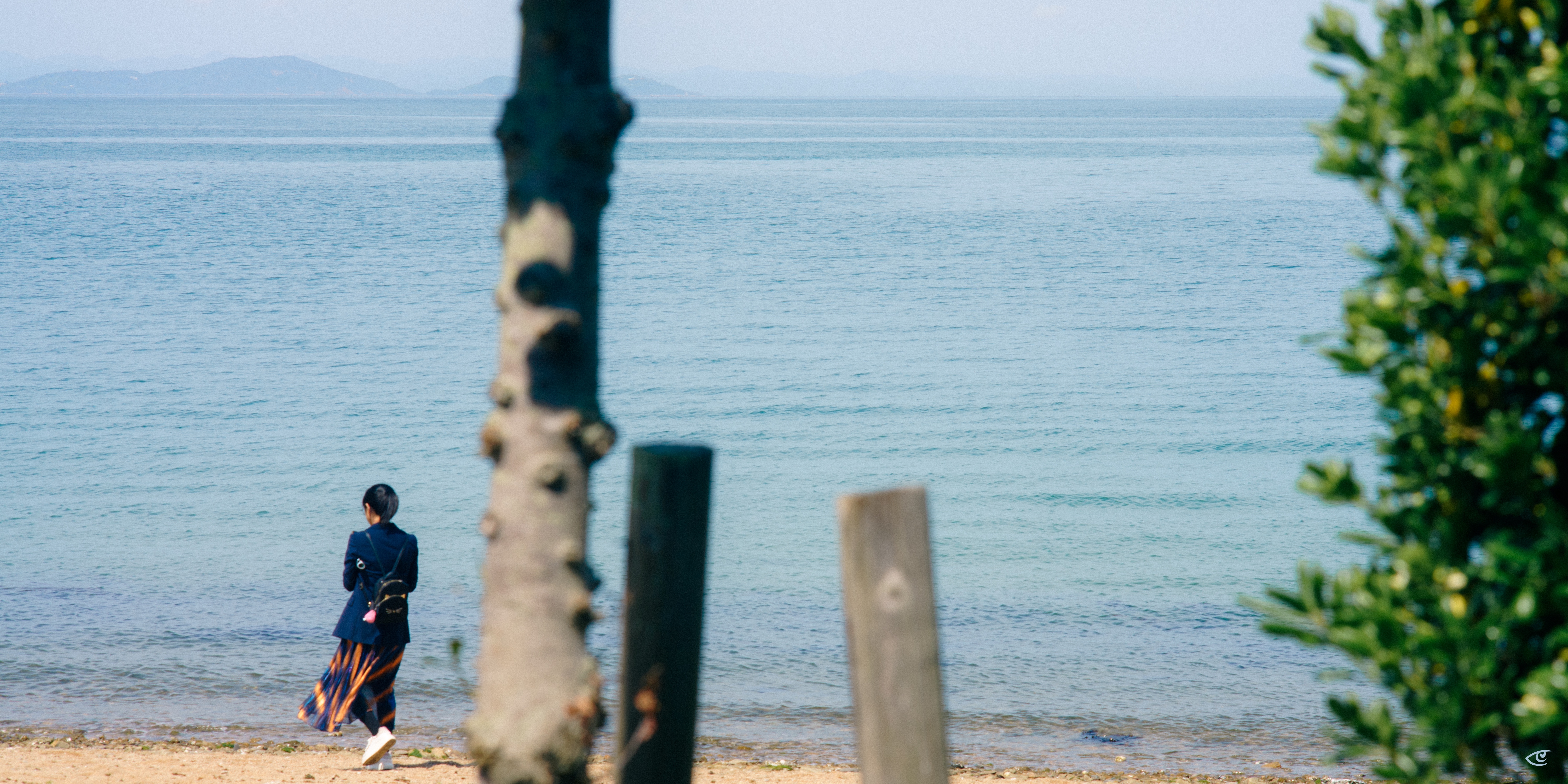 Person in a dark jacket and long patterned skirt walking along a sandy shoreline beside calm blue water, with a blurred tree trunk and fence posts in the foreground and distant land on the horizon.