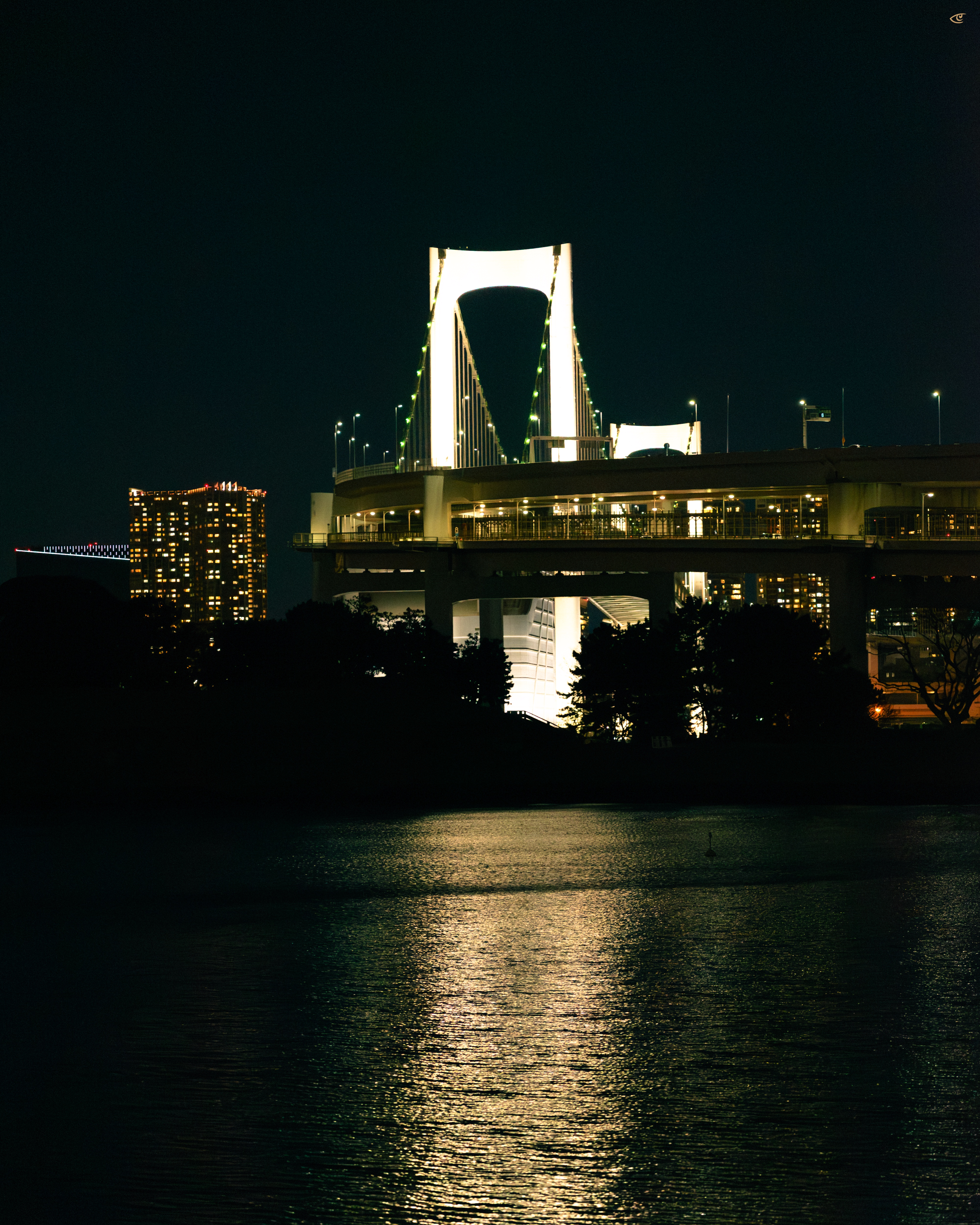 Illuminated suspension bridge at night with a bright central tower and cables, city buildings with lit windows in the background, dark tree silhouettes along the shoreline, and reflections of the lights on calm water in the foreground.