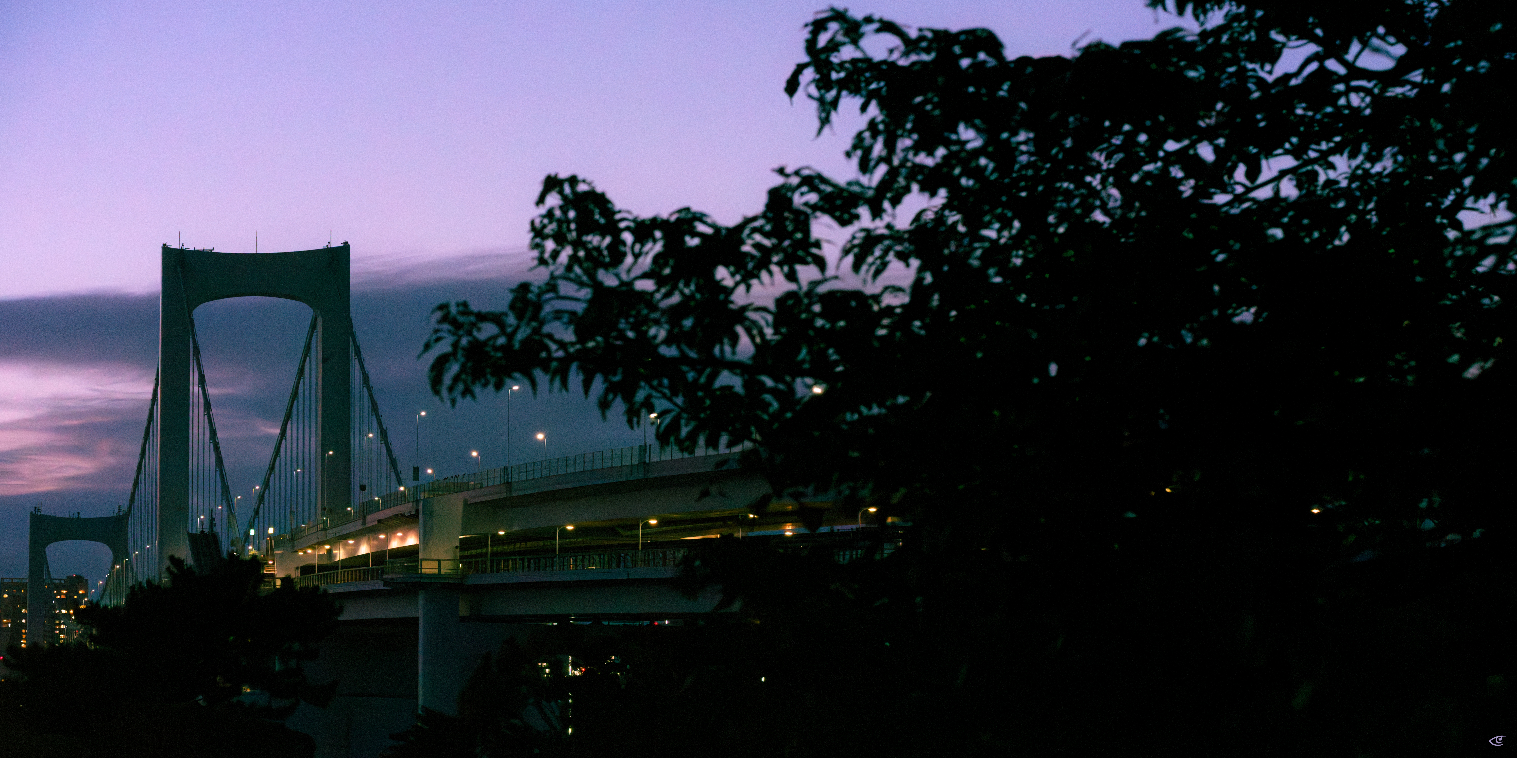 Suspension bridge at dusk with illuminated roadway lights, viewed from a distance; dark tree branches silhouette the right foreground against a purple-blue sky and low clouds.