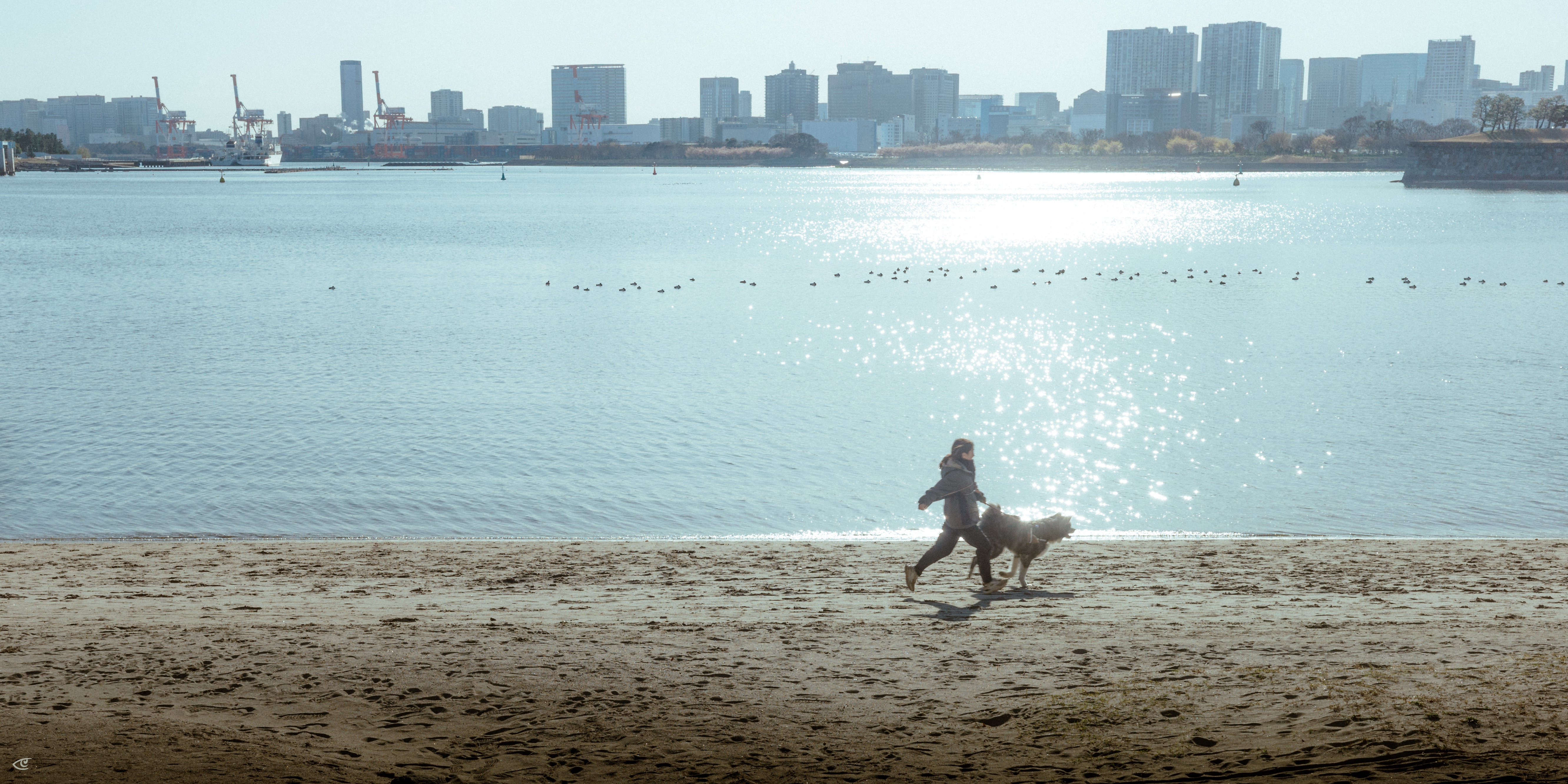 Person running along a sandy beach beside a dog, with sun glittering on calm water and a distant city skyline across the bay.