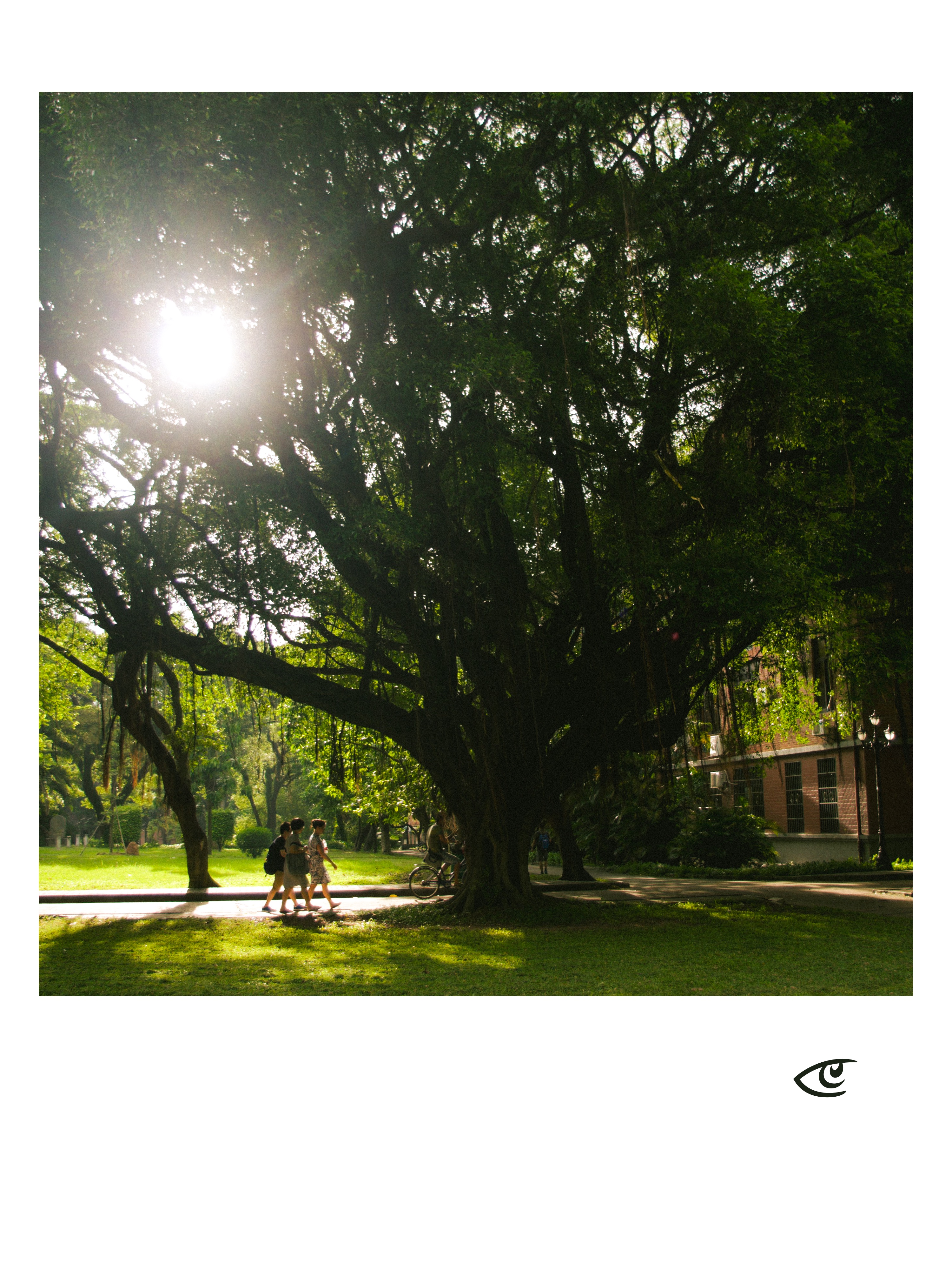 Sunlight shining through the canopy of a large tree in a park, with a few people walking along a path and a bicycle near the trunk; grassy lawn in the foreground and a building partially visible on the right.