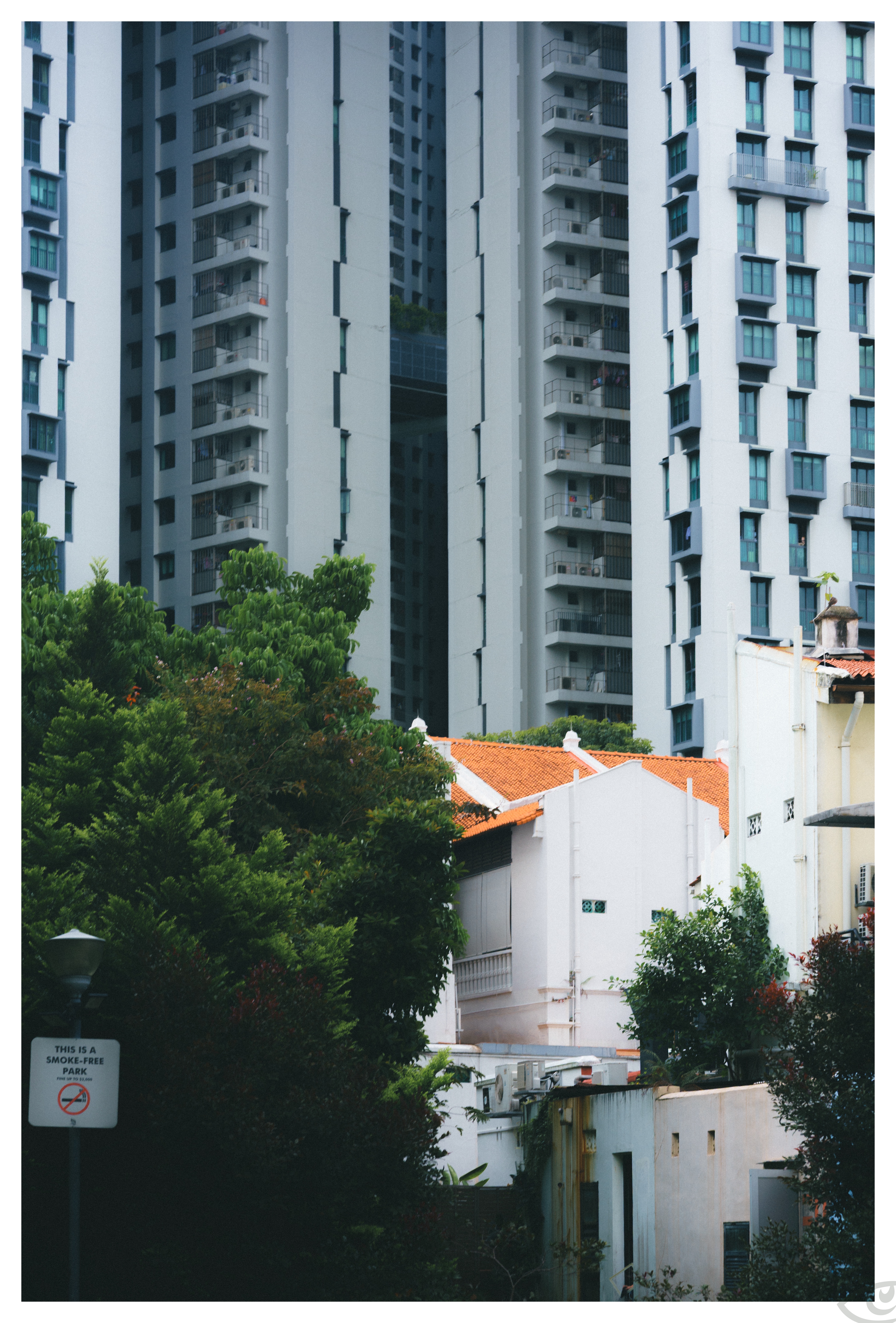 Tall gray high-rise apartment buildings with balconies and teal-tinted windows in the background, behind leafy green trees and low white houses with red-orange tiled roofs; a “This is a smoke-free park” sign at the lower left.