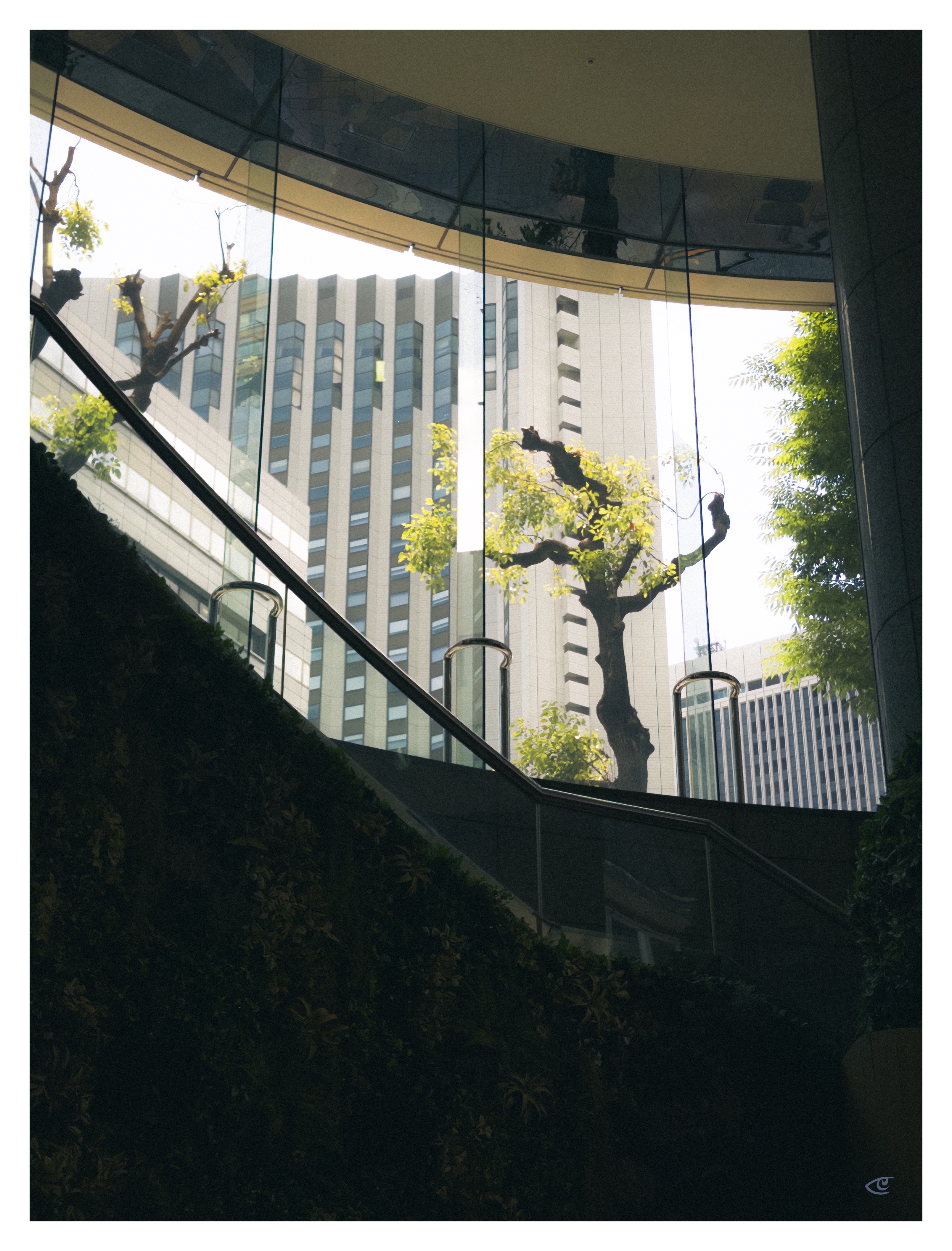 Curved glass wall of a building lobby with an escalator rising along the left side, landscaped greenery in the foreground, and trees and tall office towers visible outside through the glass.