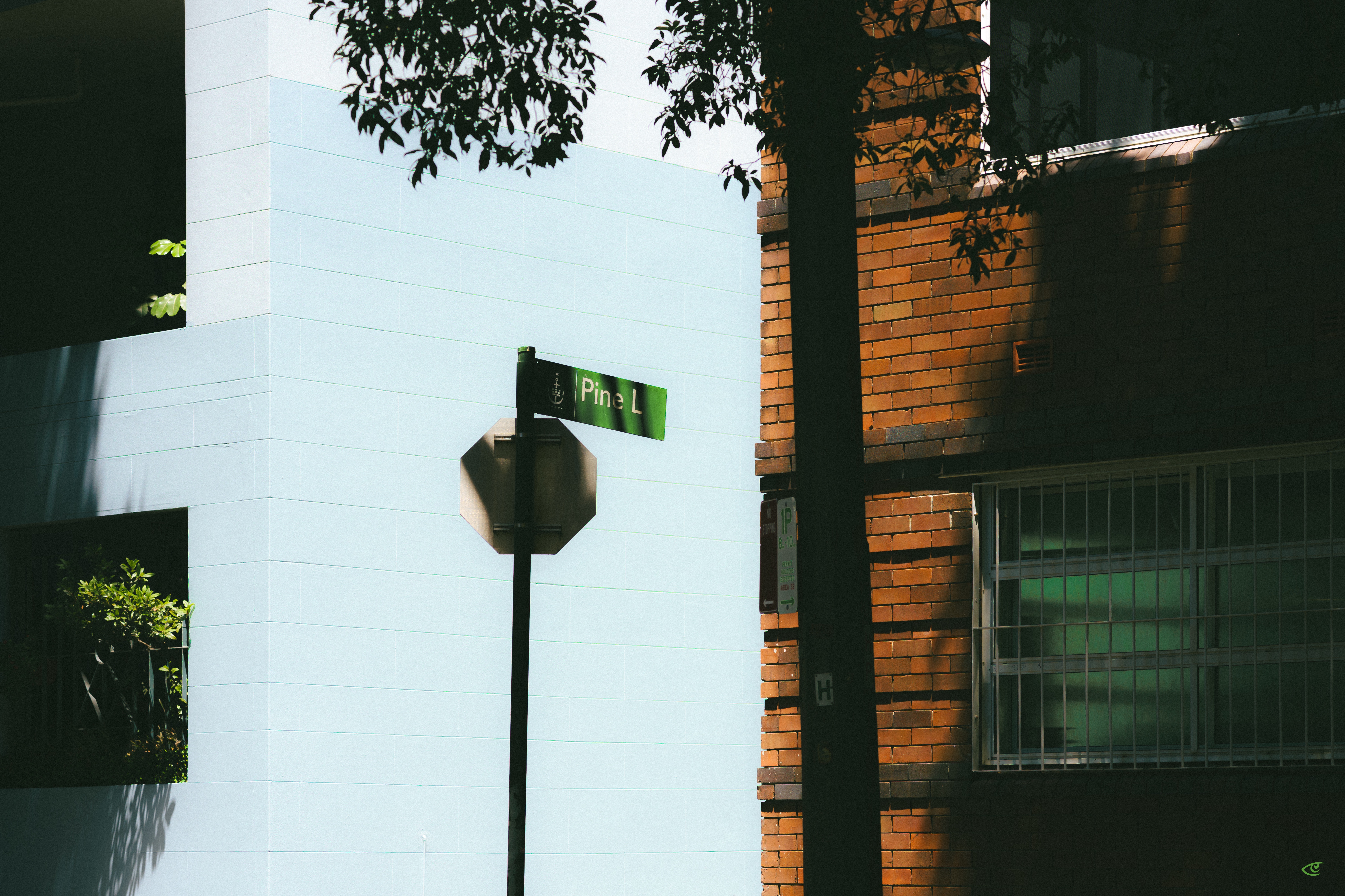 Street corner with a green “Pine L” street sign on a pole in front of a pale building, next to a brick wall with a barred window; tree branches cast shadows across the scene.