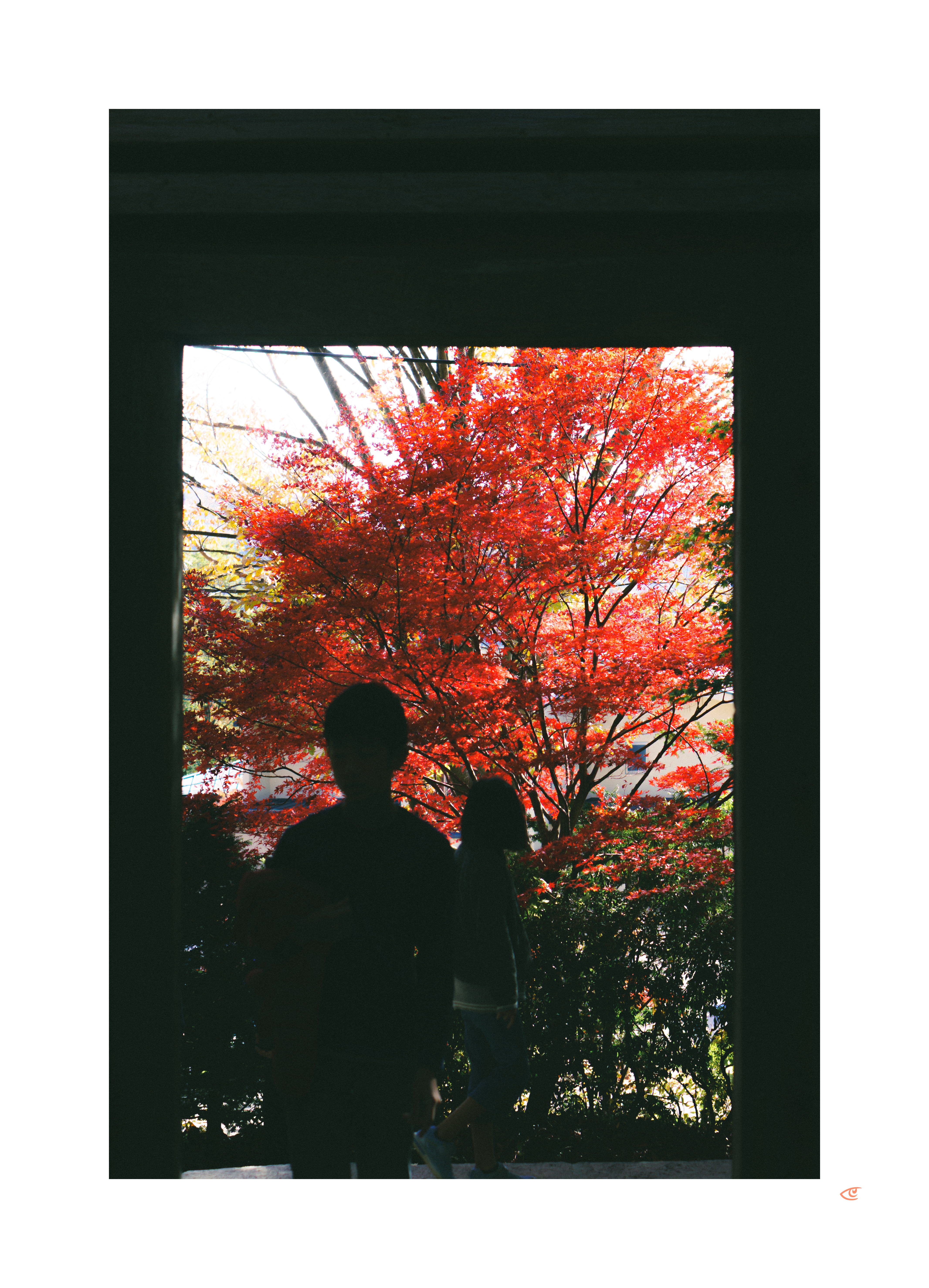 Silhouettes of two people standing in a dark doorway, looking out at a bright red-leafed tree and surrounding greenery in daylight.