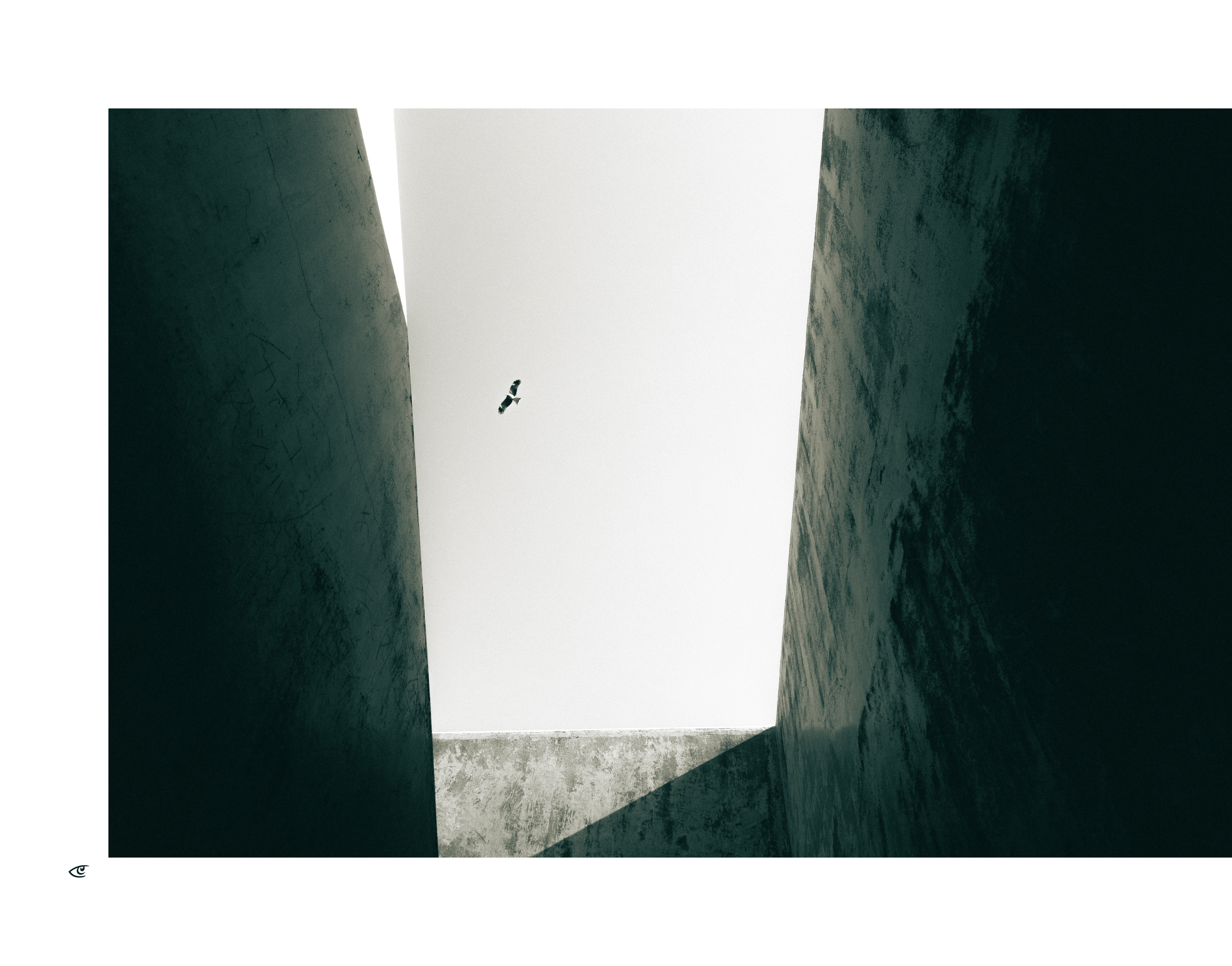 Upward view between two tall, dark concrete walls forming a narrow corridor, with a small bird silhouetted against a pale sky above and a sunlit section of wall at the bottom.
