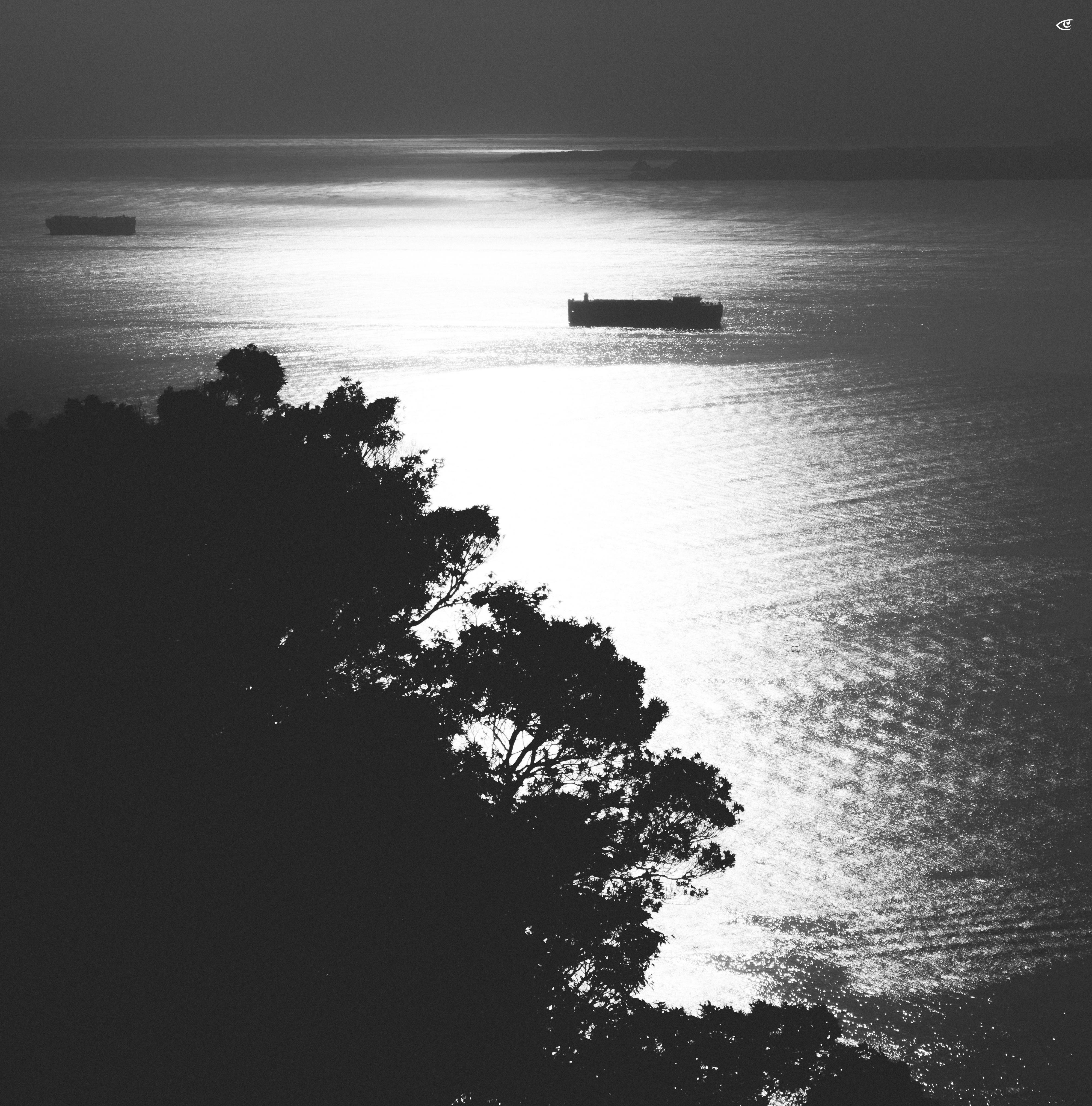 Black-and-white coastal scene with a dark tree-covered hillside in the lower left foreground and shimmering water filling most of the frame; two cargo ships sit on the bright water near the horizon line.