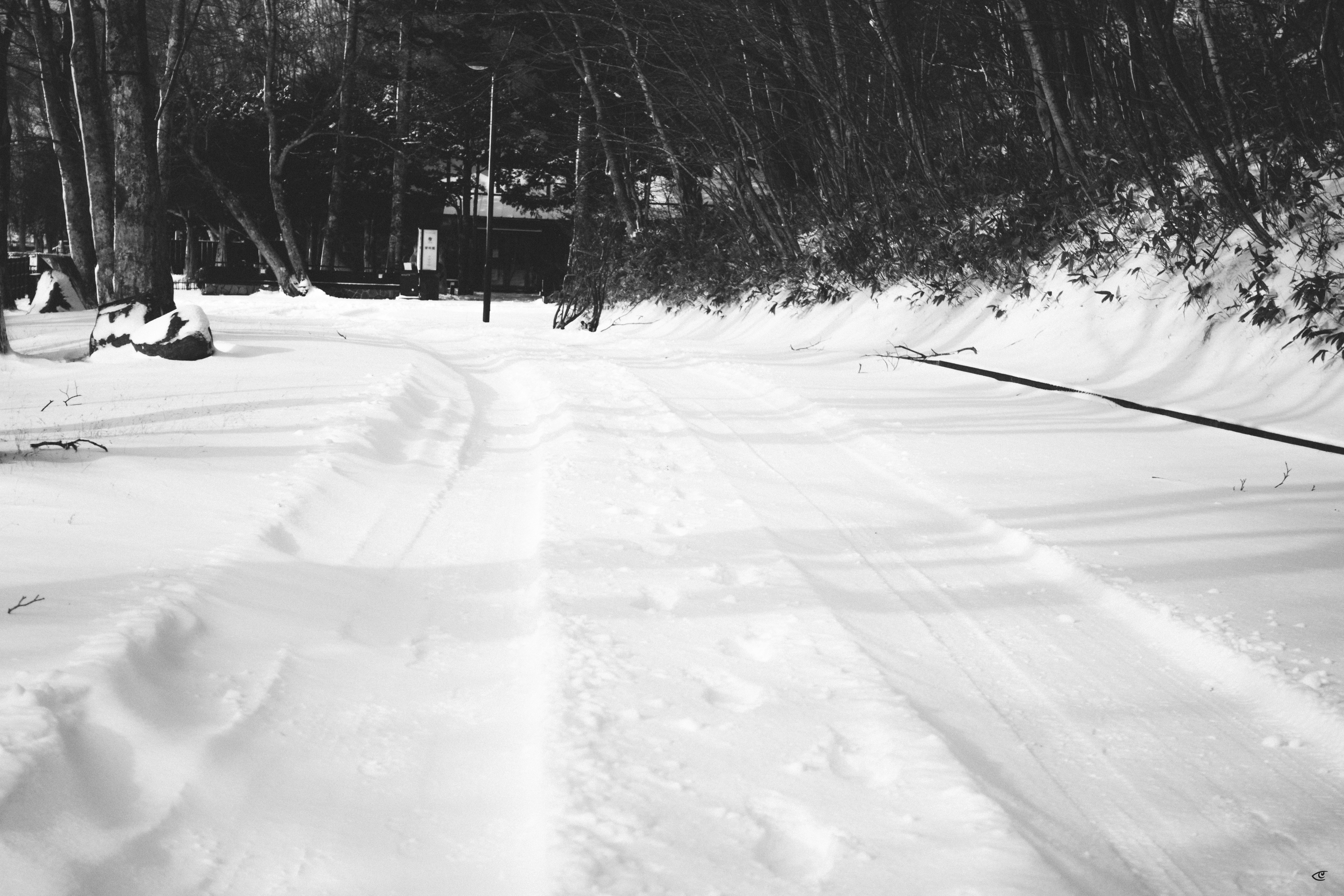 Snow-covered road with tire tracks curving through a wooded area, lined by bare trees and snowbanks; a sign and streetlight appear in the distance.