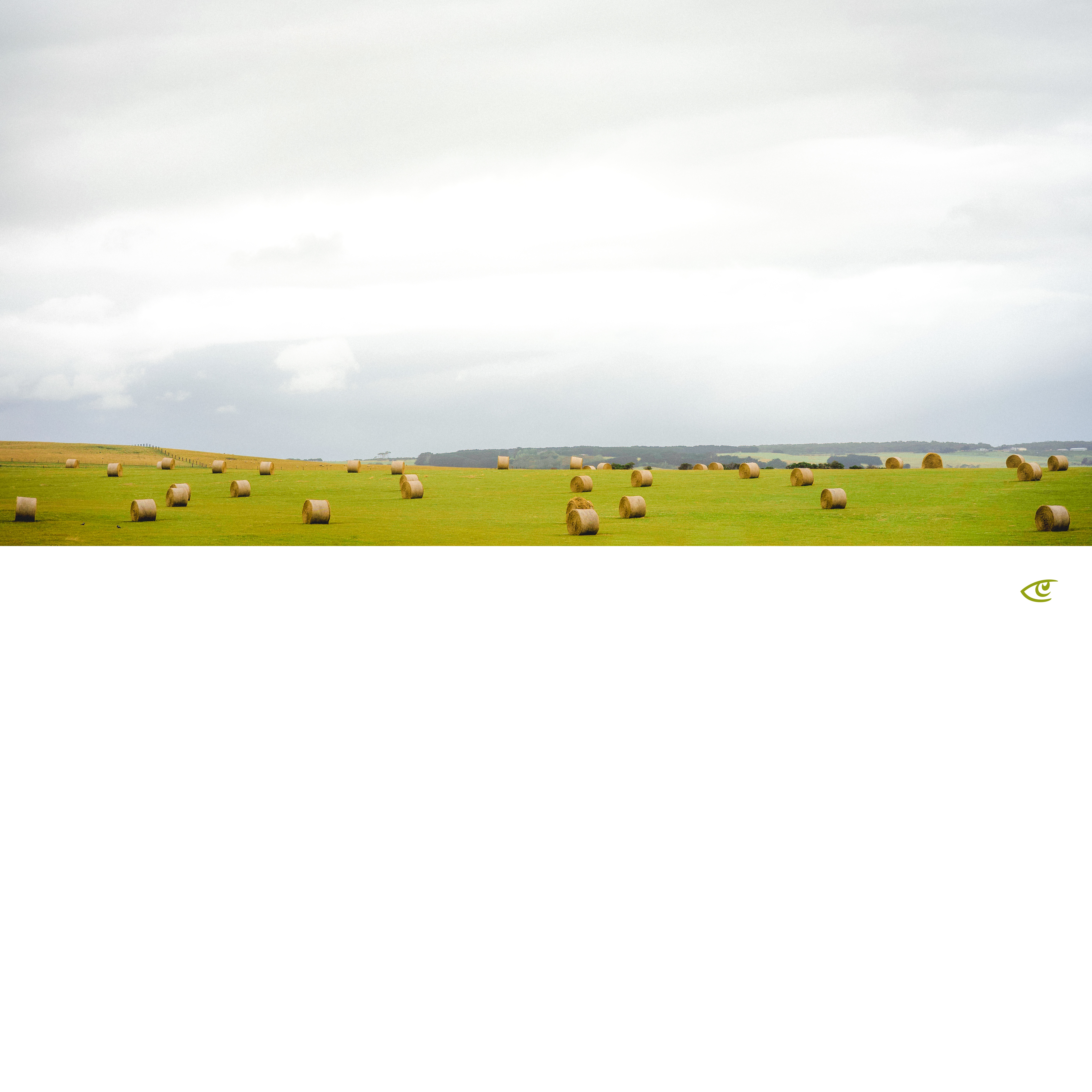 Wide panoramic view of a green field with scattered round hay bales, a distant tree-lined horizon, and an overcast cloudy sky.