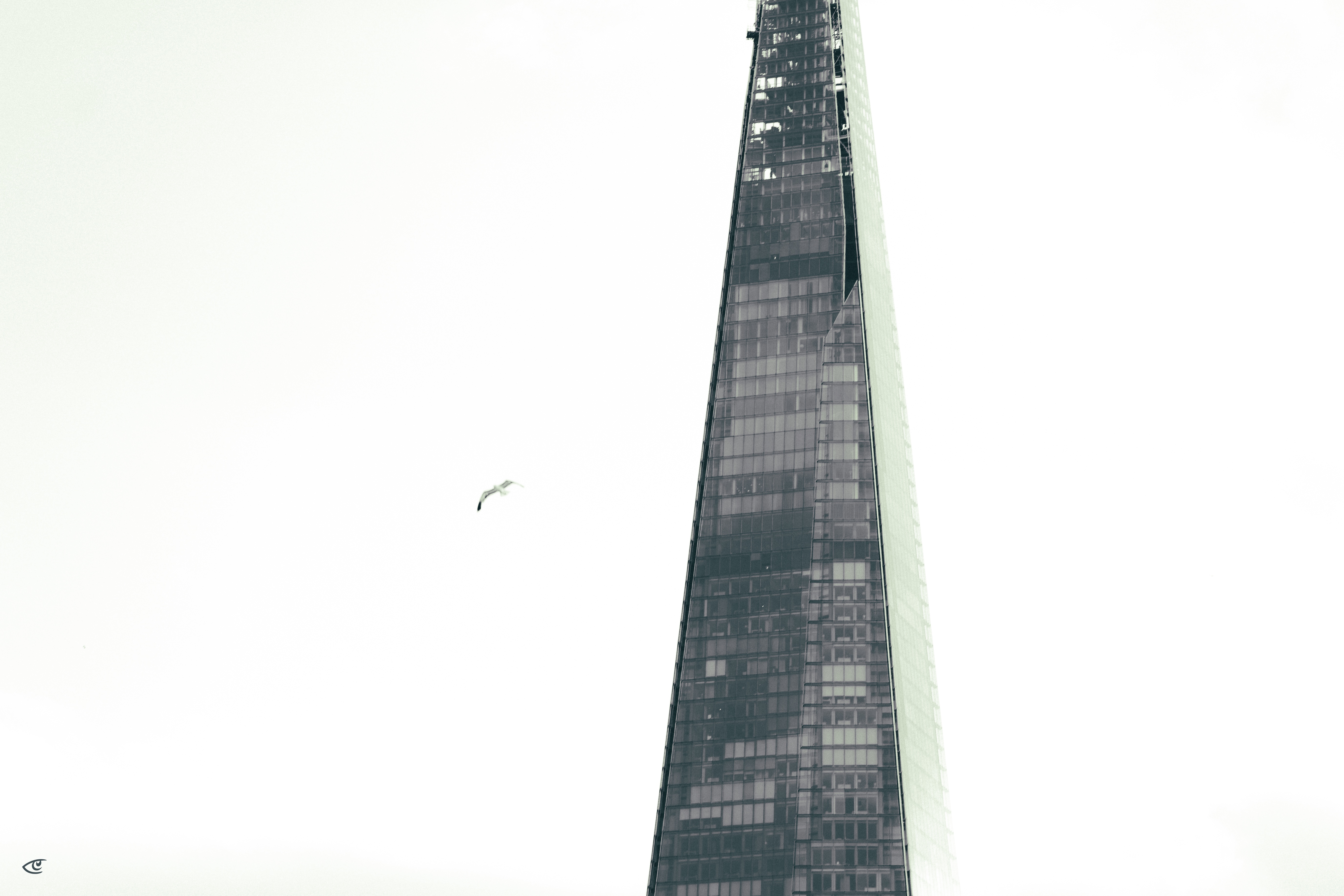 Lower portion of a tall, narrow glass skyscraper with dark window panels, rising along the right edge of the frame against a bright overcast sky; a small bird flies near the building.