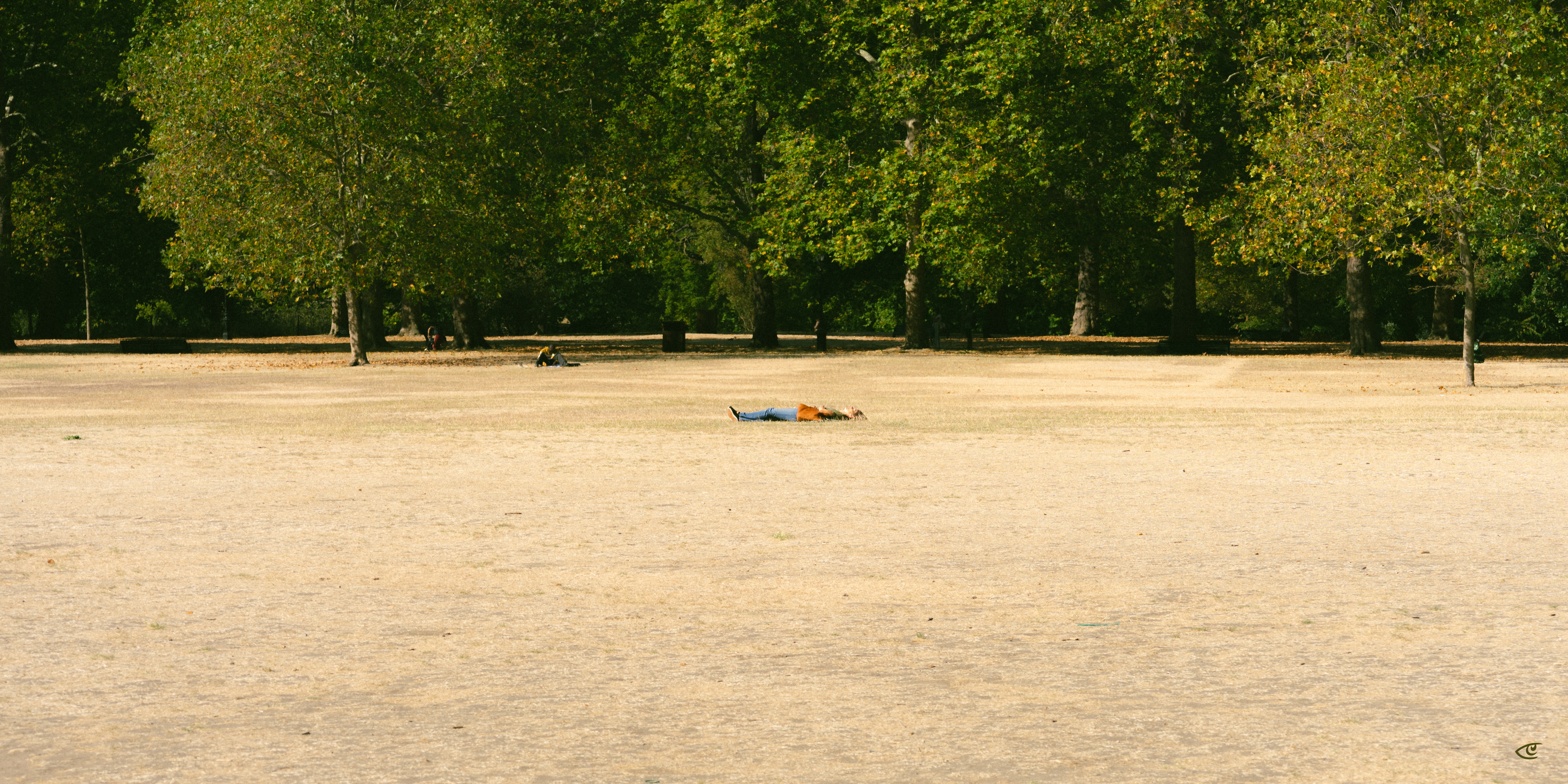 Wide shot of a dry, sandy park field with a single person lying on the ground near the center, backed by a line of leafy green trees in the distance.