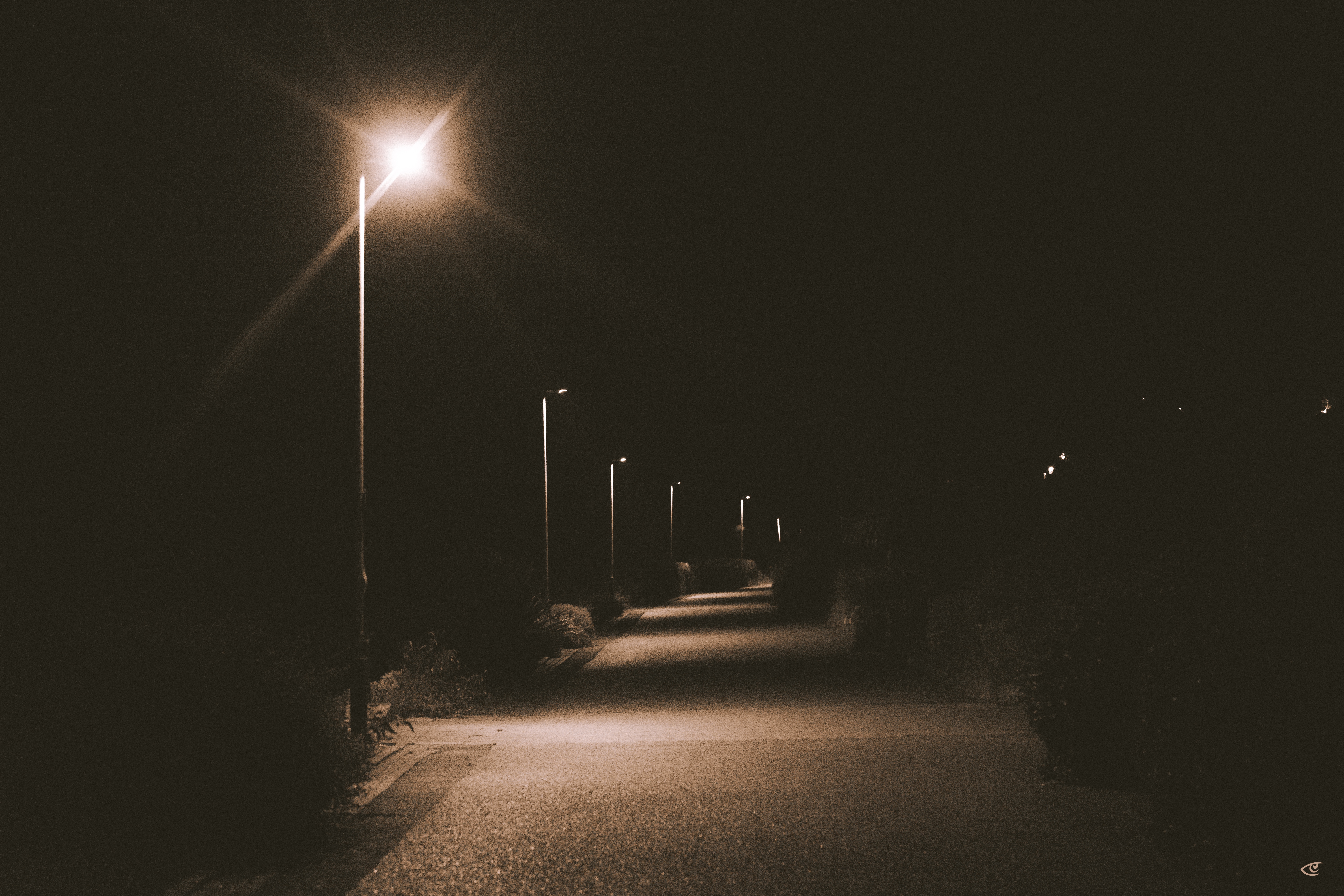Nighttime view of a paved path receding into the distance, lined with tall streetlights on the left casting pools of light on the ground, with dark bushes and open darkness on both sides.