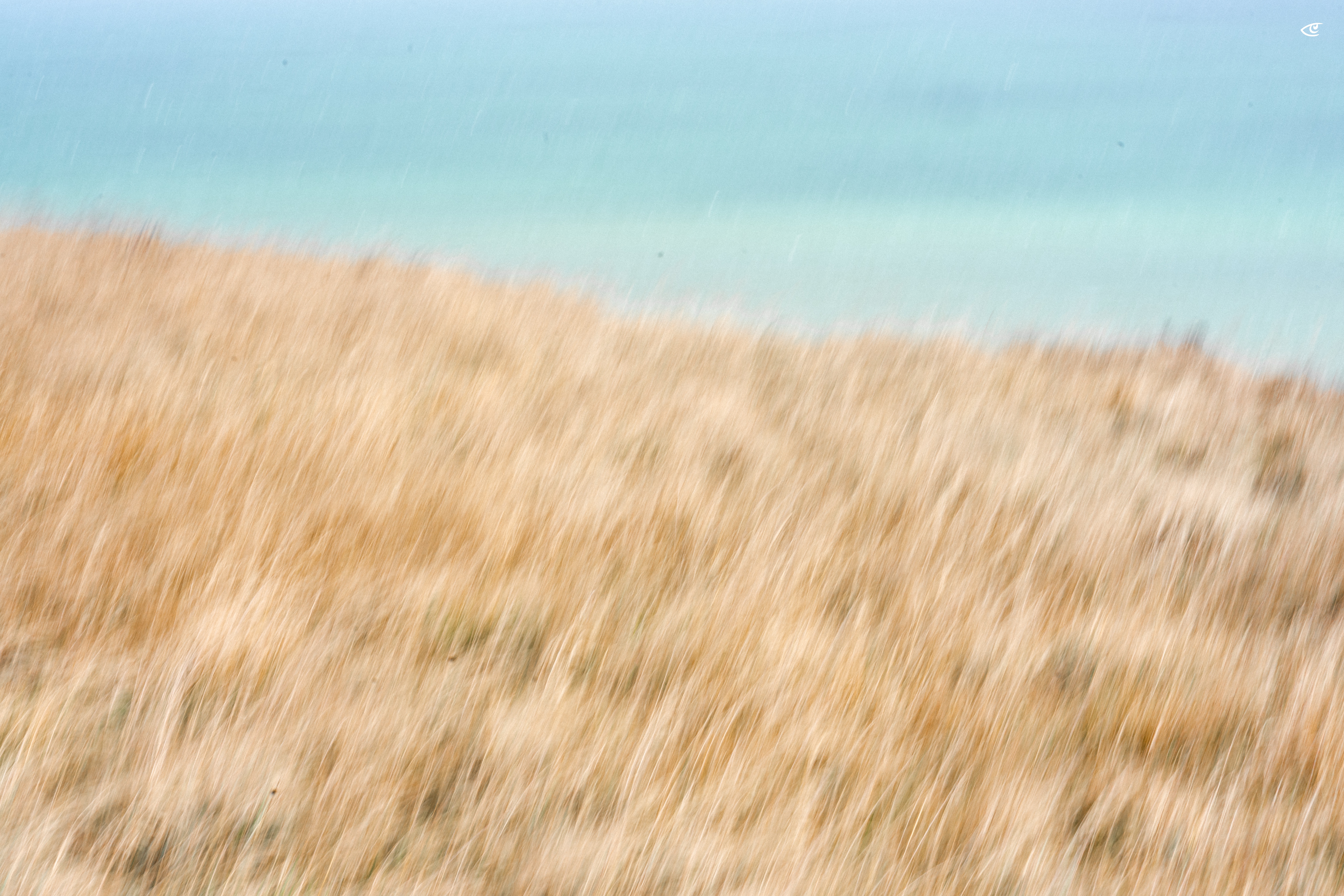 Blurred view of tall tan beach grass in the foreground with a blue-green ocean and pale sky in the background.