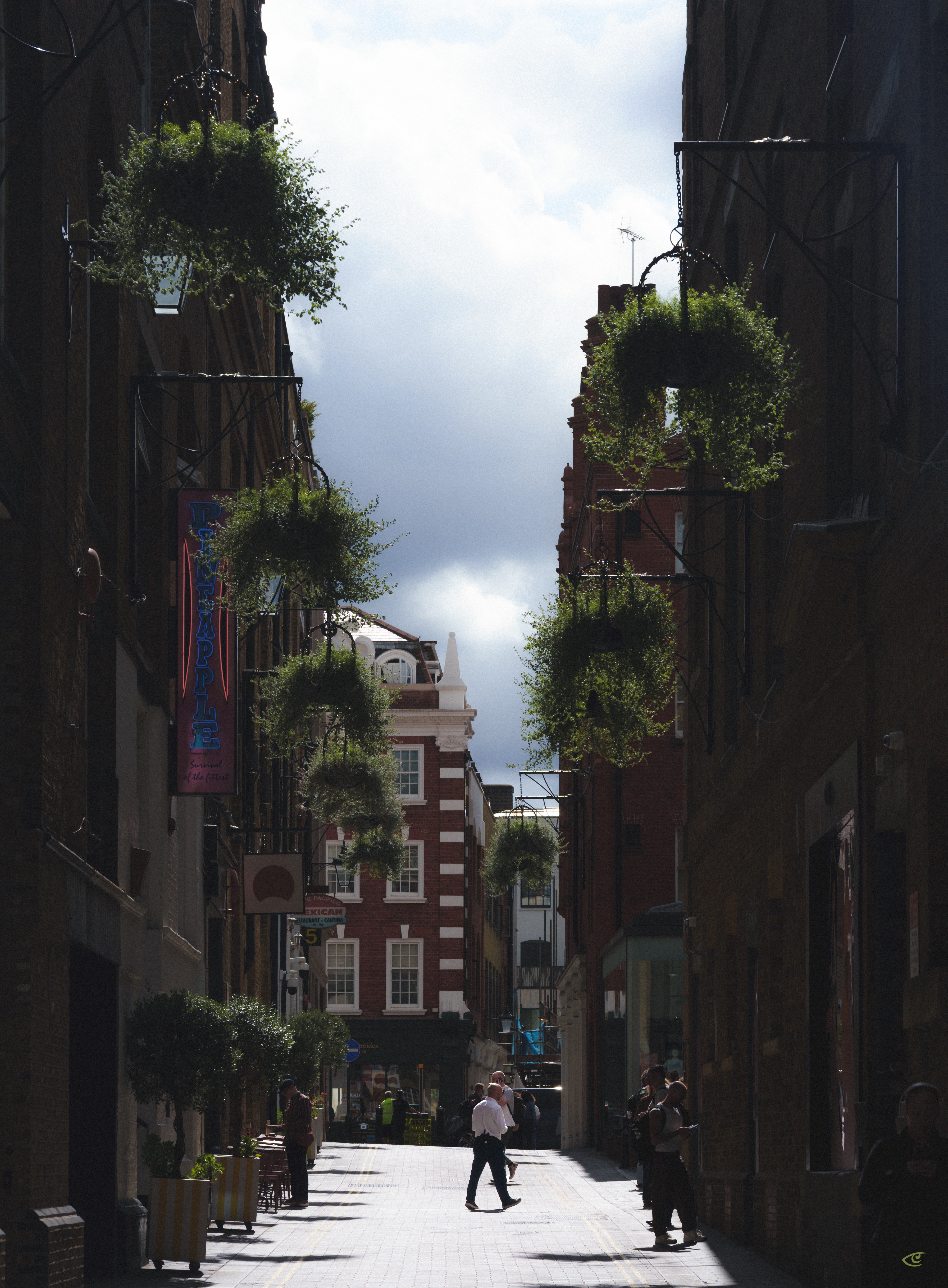 Narrow city alley framed by tall brick buildings, with hanging baskets of green plants on both sides and a cloudy sky above; pedestrians stand and walk along the sunlit pavement near storefront signs at the far end.