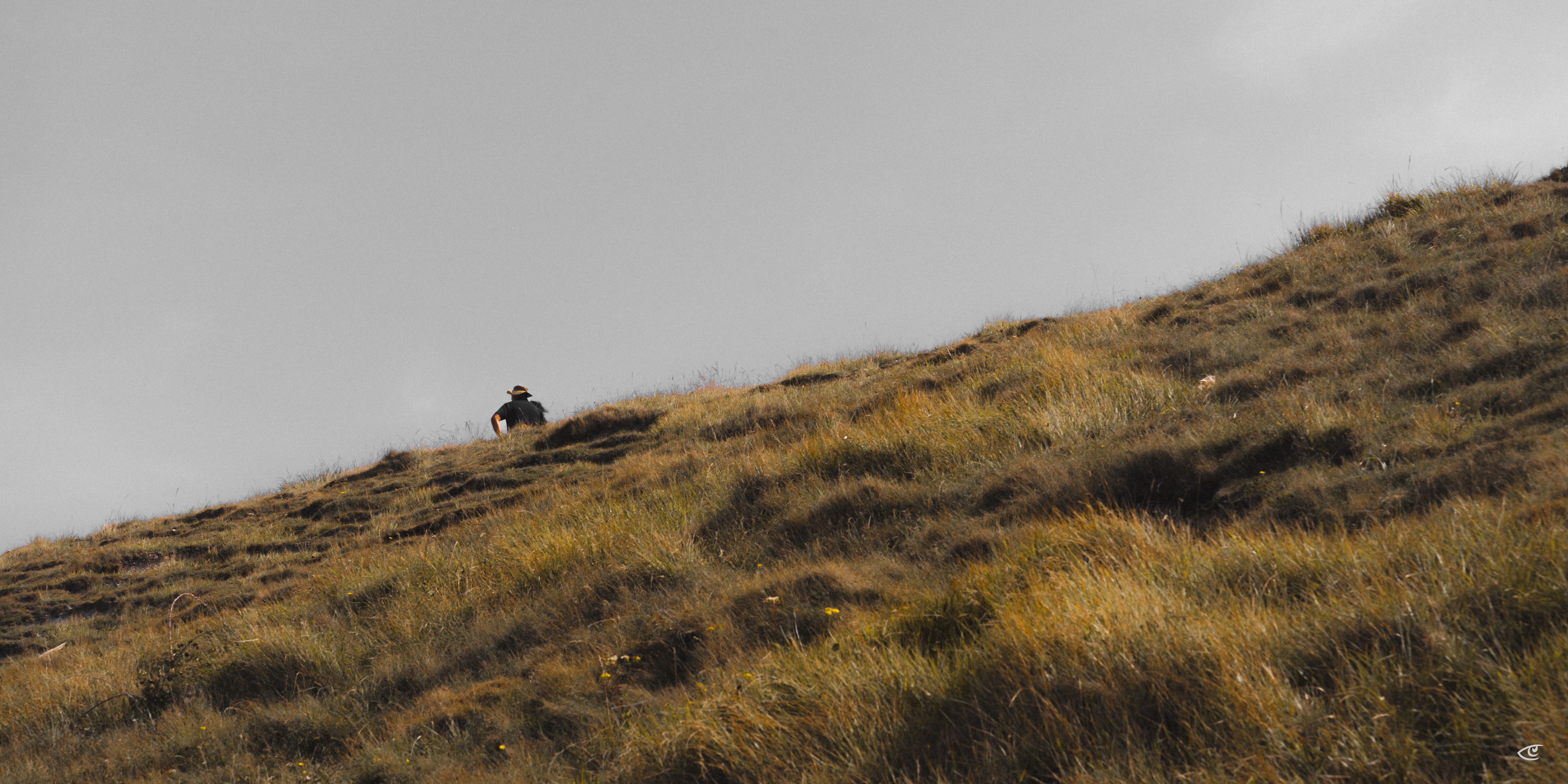 Small human figure wearing a hat standing on a grassy hillside, with tufts of dry yellow-brown grass covering the slope and a gray overcast sky in the background.