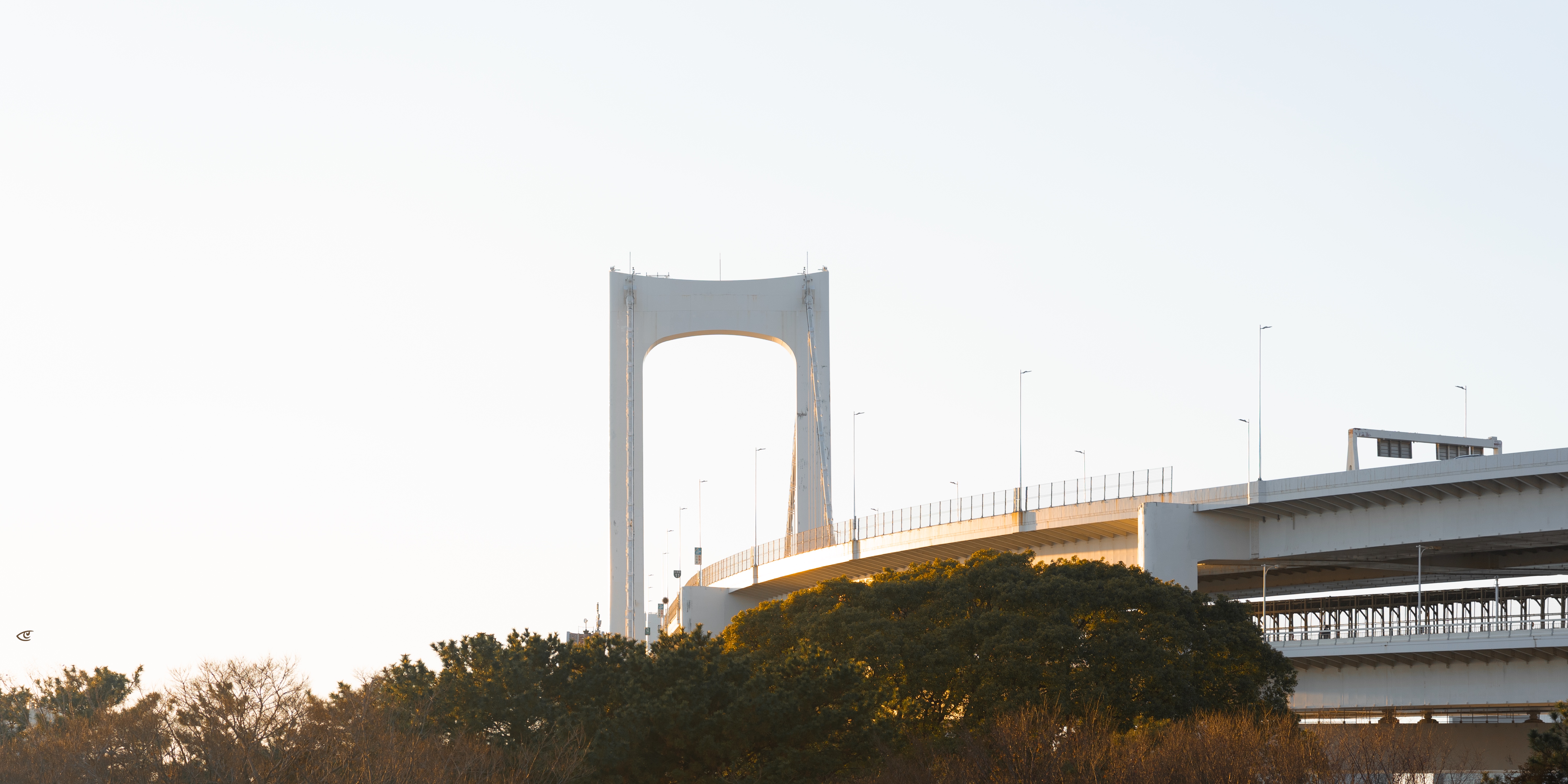 Curving elevated roadway bridge with a tall white support tower and streetlights, spanning above treetops against a bright sky.
