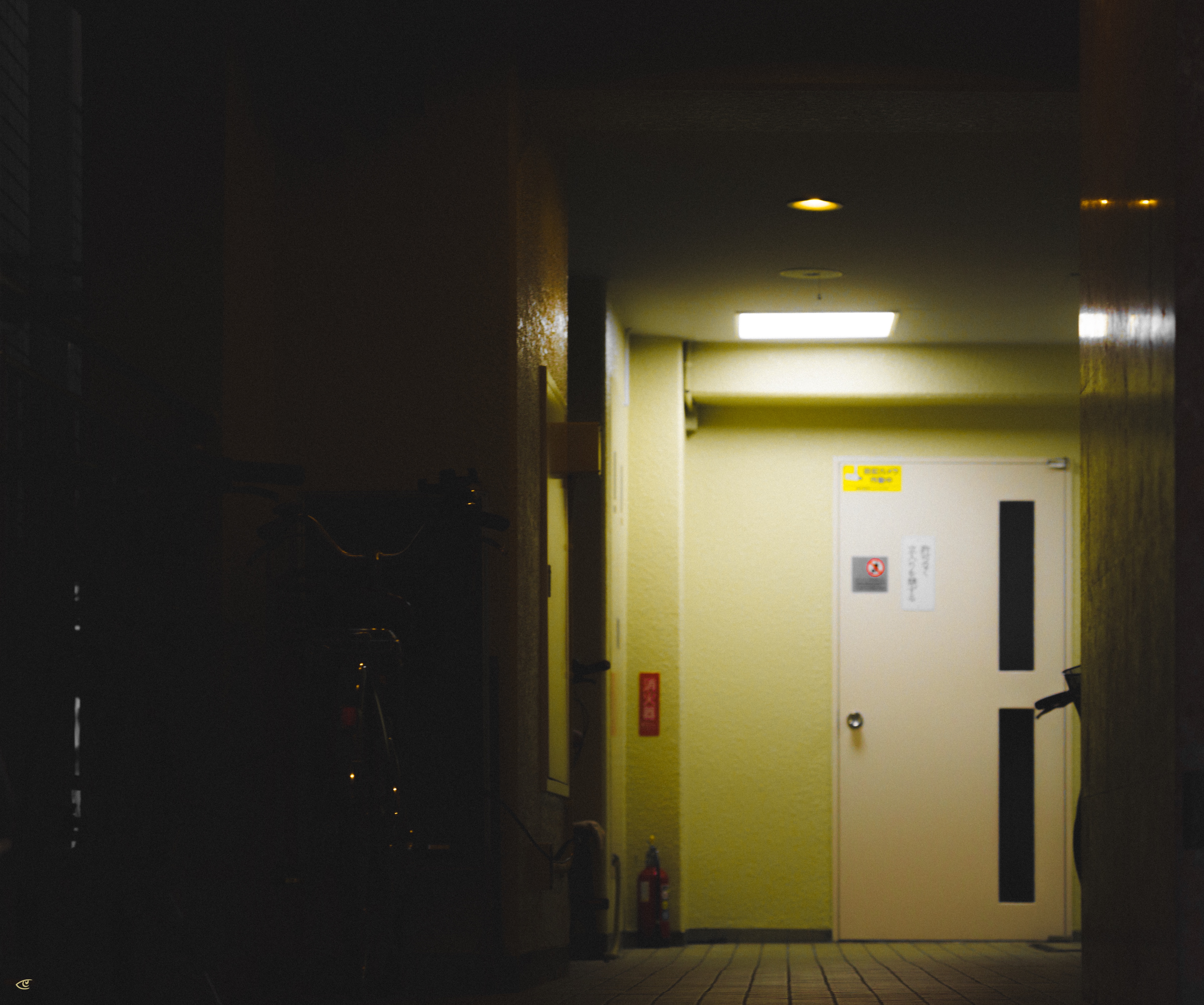 Dimly lit hallway with a fluorescent ceiling light, pale green walls, and a closed door at the end featuring two vertical black window panels; a fire extinguisher and small wall signs sit beside the door, while the left side of the corridor is in shadow.