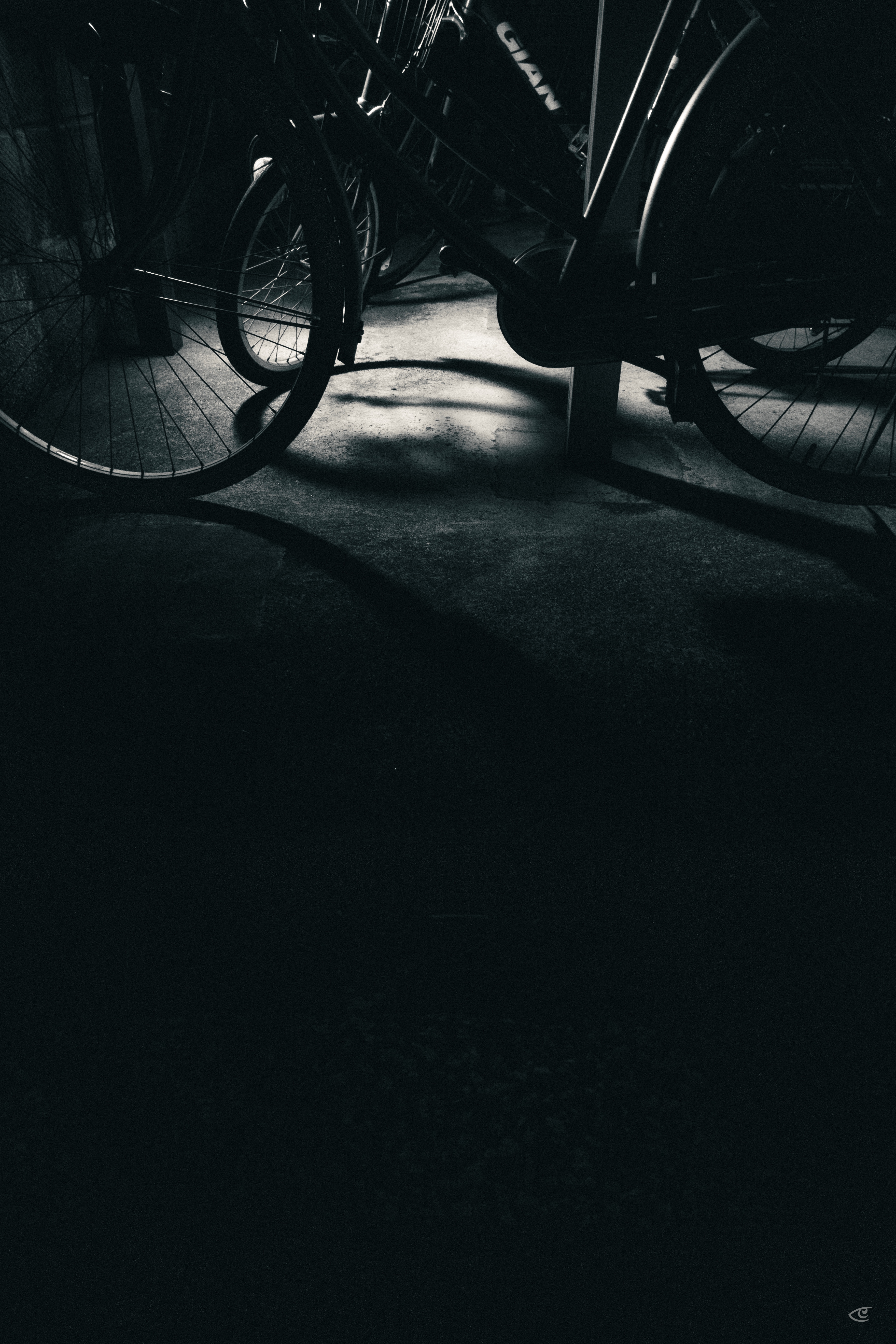 Low-angle black-and-white photo of several parked bicycles, with overlapping wheels and frames casting long shadows on a concrete floor; lower half fades into dark blur.