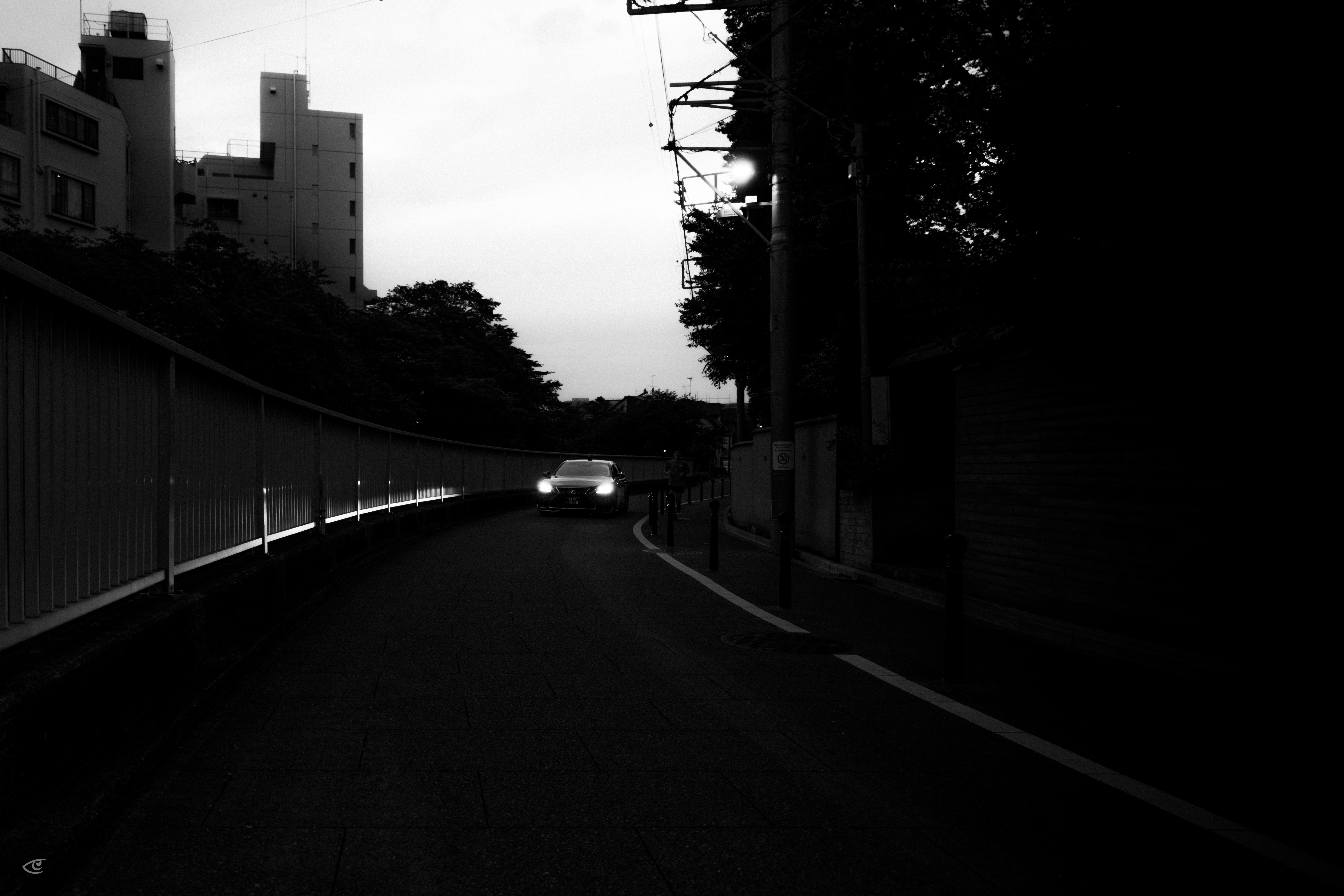 Black-and-white view of a curving road at dusk, with a car approaching and its headlights on; metal railing along the left side, utility poles and trees on the right, and mid-rise buildings silhouetted in the background.