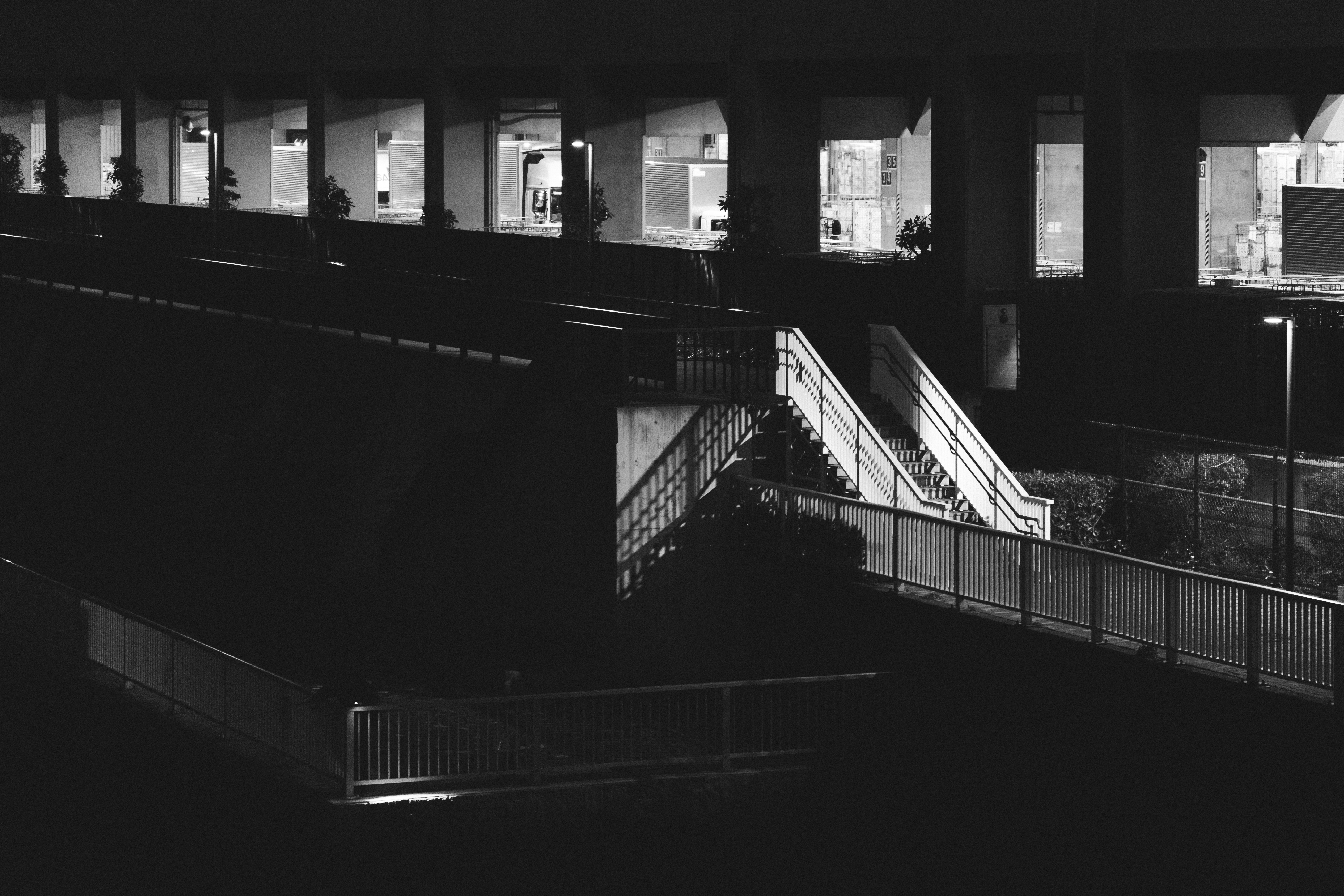 Concrete stairs with metal railings, illuminated by a street lamp, ascend diagonally in the foreground. In the background, a row of rectangular windows, each framed by plants, reveals interiors lit from within. The scene is in black and white, creating strong contrasts between light and shadow.