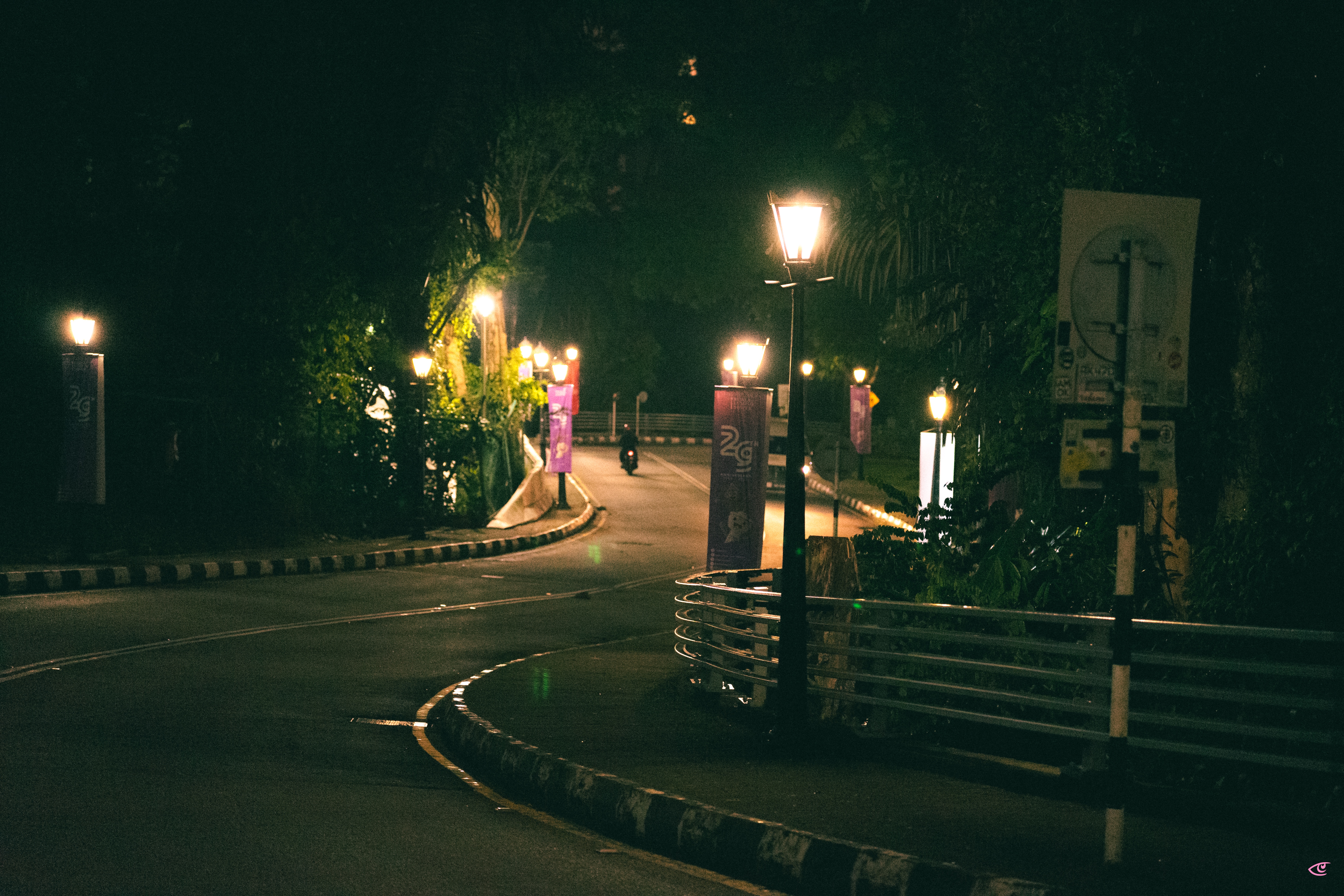 Curving roadway at night lit by a row of streetlamps, with trees and bushes on both sides, a metal guardrail along the right edge, and a road sign in the right foreground.