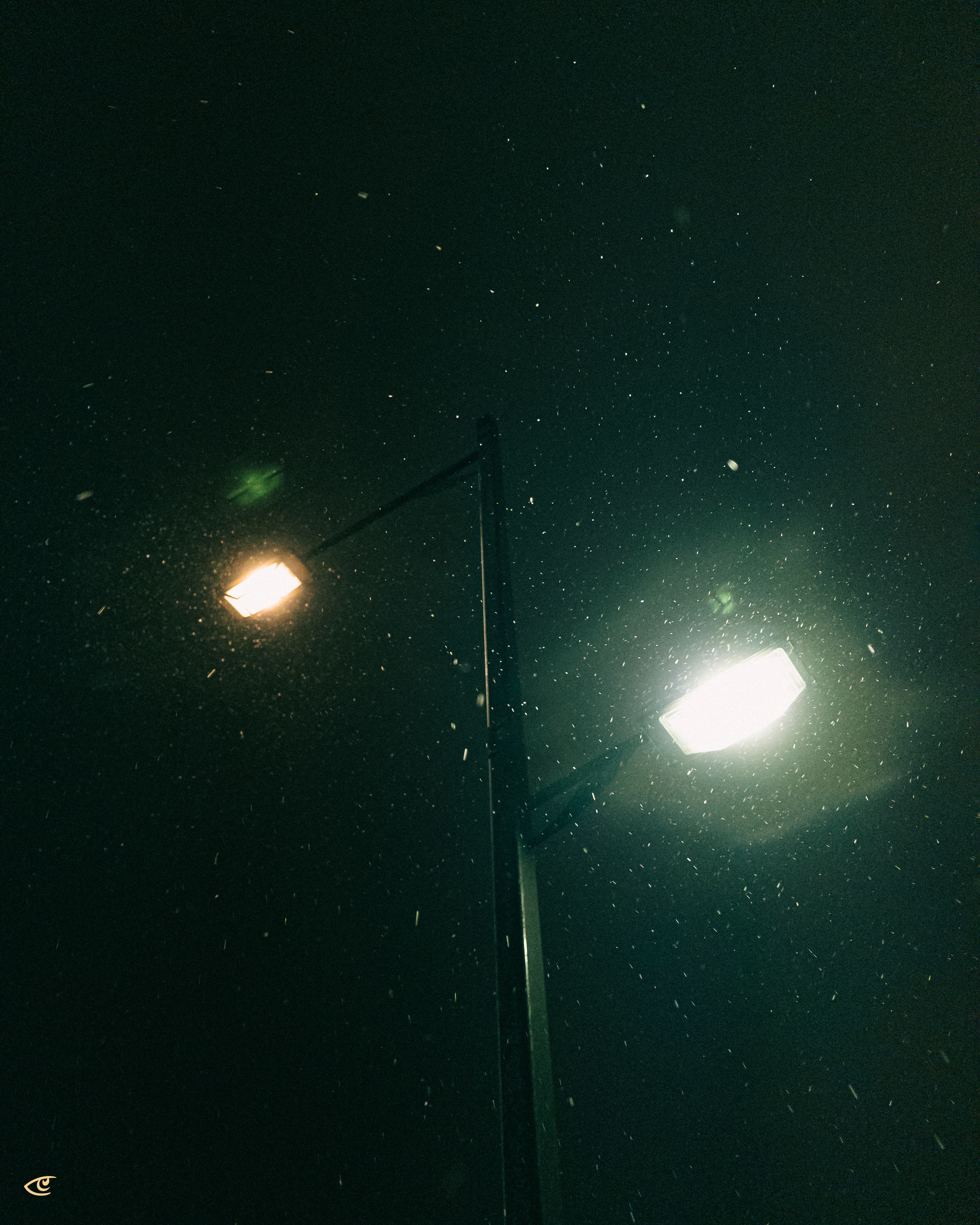 Tall streetlight pole at night with two lamps, one warm yellow and one bright white, illuminating falling snow against a dark sky.