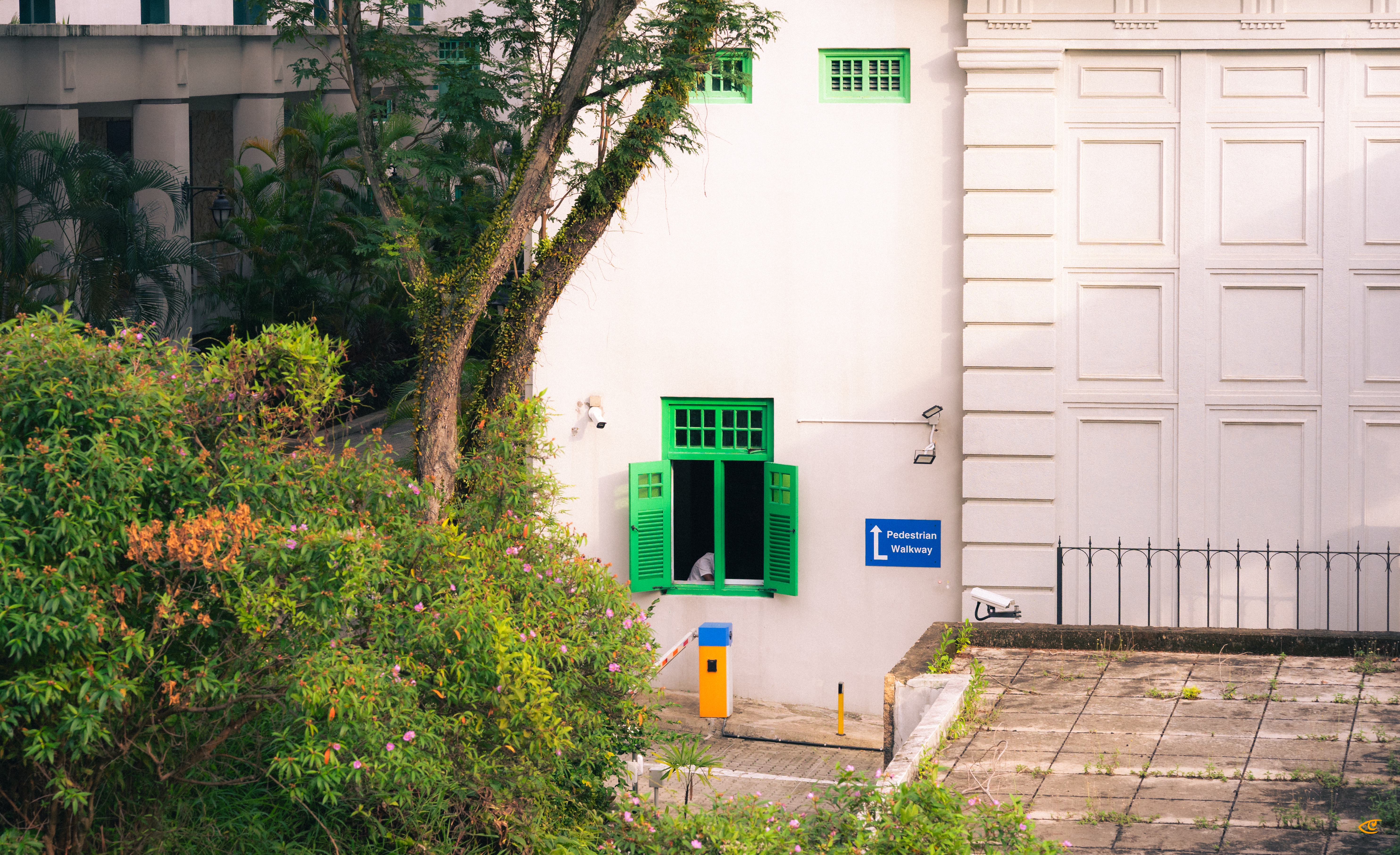 White building exterior with bright green shuttered windows, one open above a driveway barrier; a blue “Pedestrian Walkway” sign on the wall, trees and dense shrubs in the foreground, and a paved courtyard with a low fence on the right.