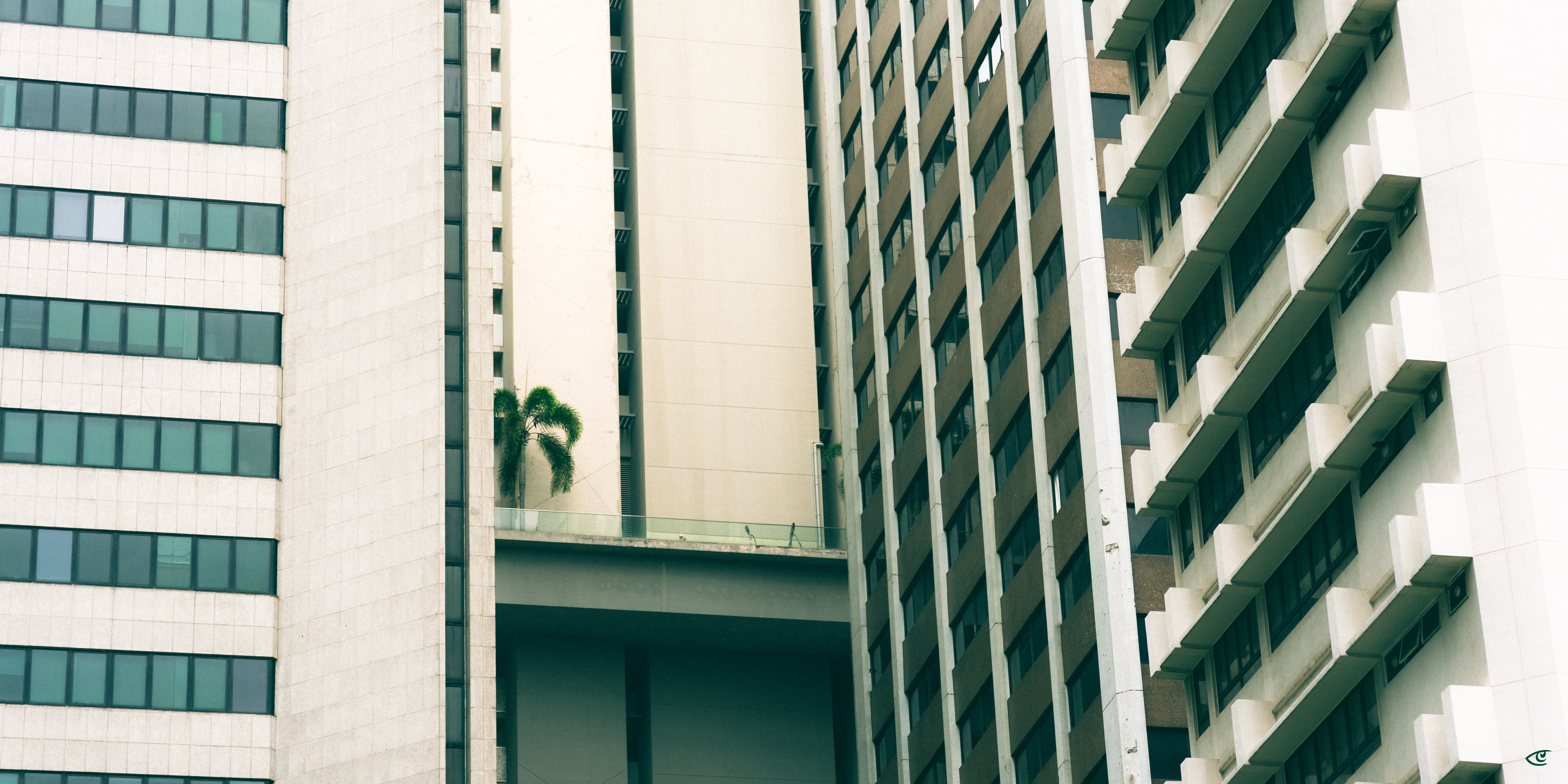 Tall modern high-rise buildings with rows of windows; a concrete skybridge connects two towers near the center, with a small palm tree on the bridge.