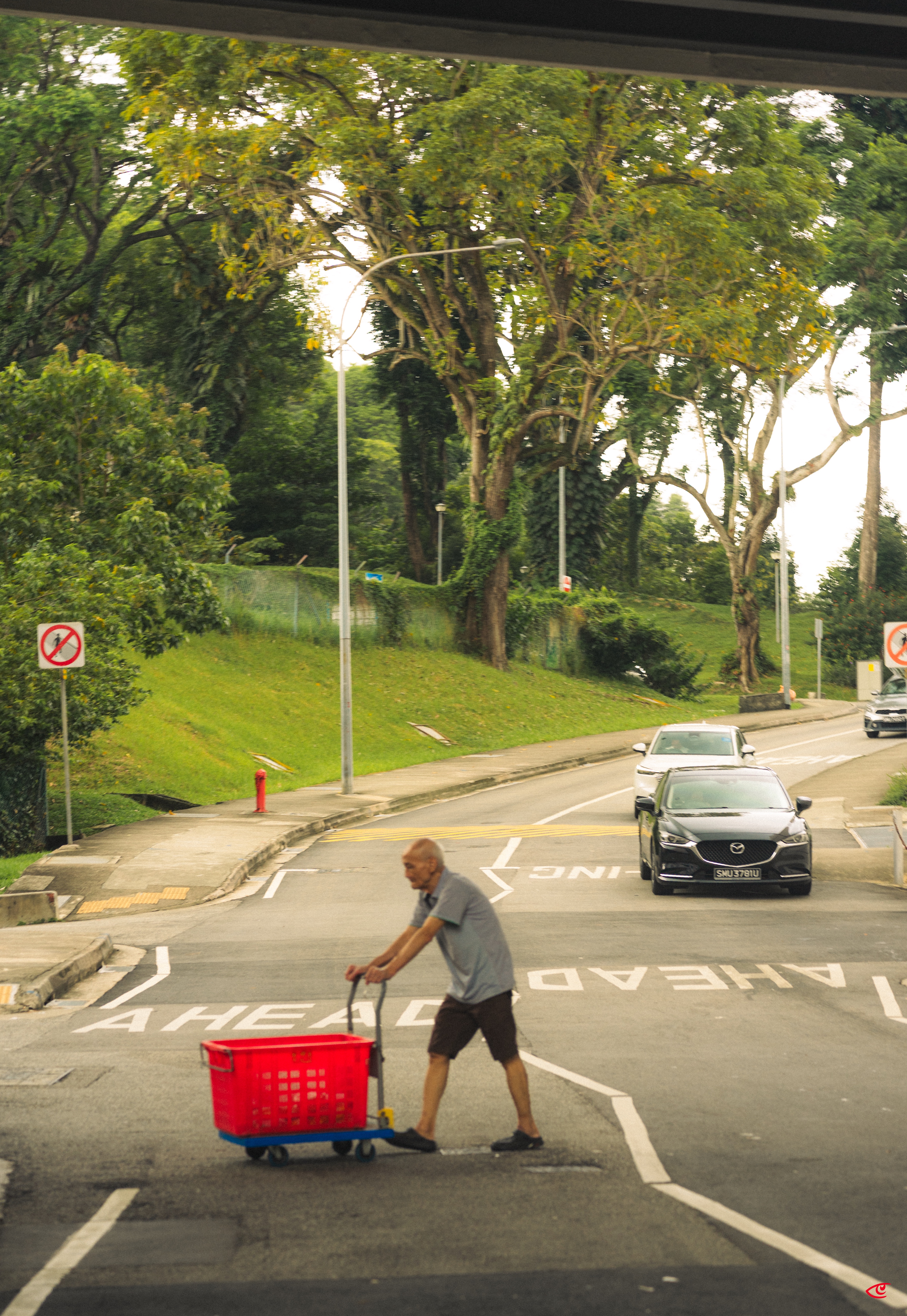 Man pushing a wheeled cart with a large red basket across a road marked “AHEAD,” with cars approaching in the background and tall trees lining the roadside.